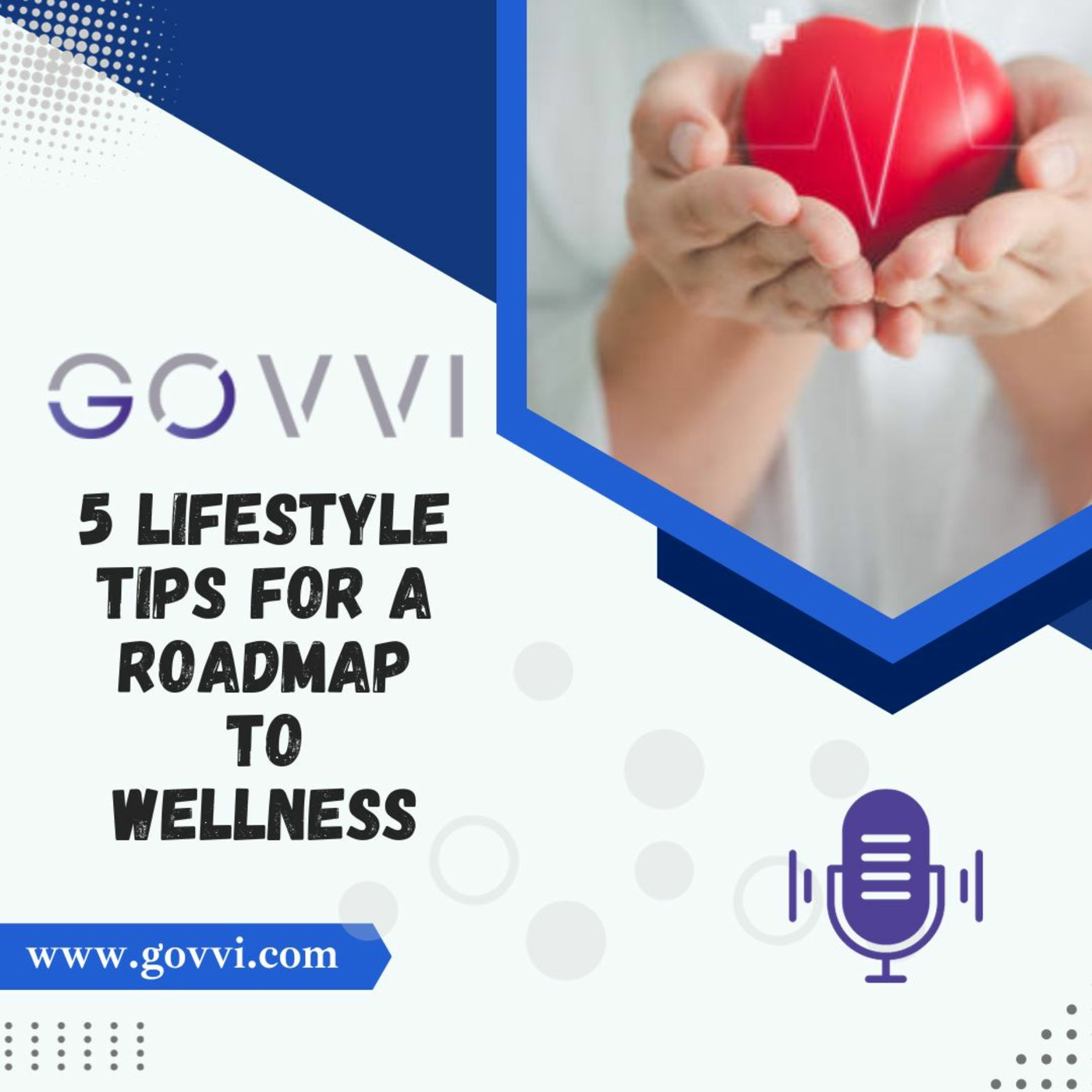 Episode 2: GOVVI's 5 Lifestyle Tips for a Roadmap to Wellness episode artwork