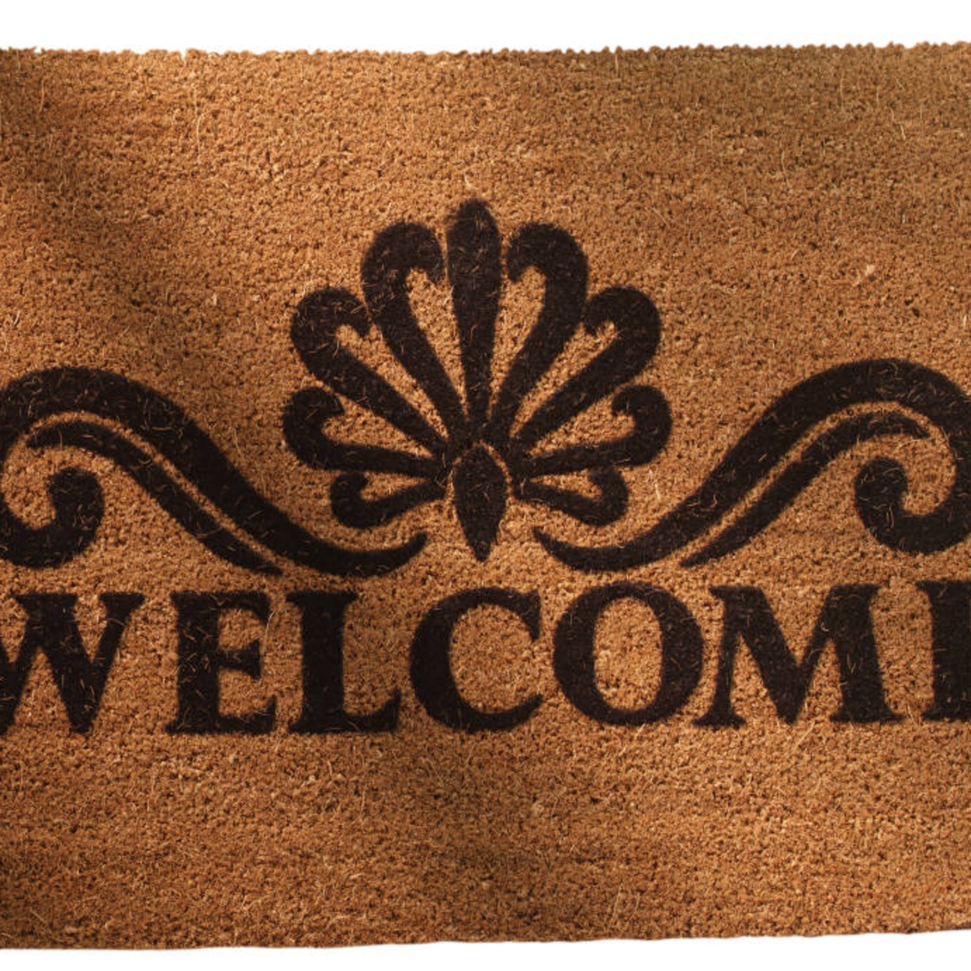 Getting My Hospitality in Order: Dana Cox
