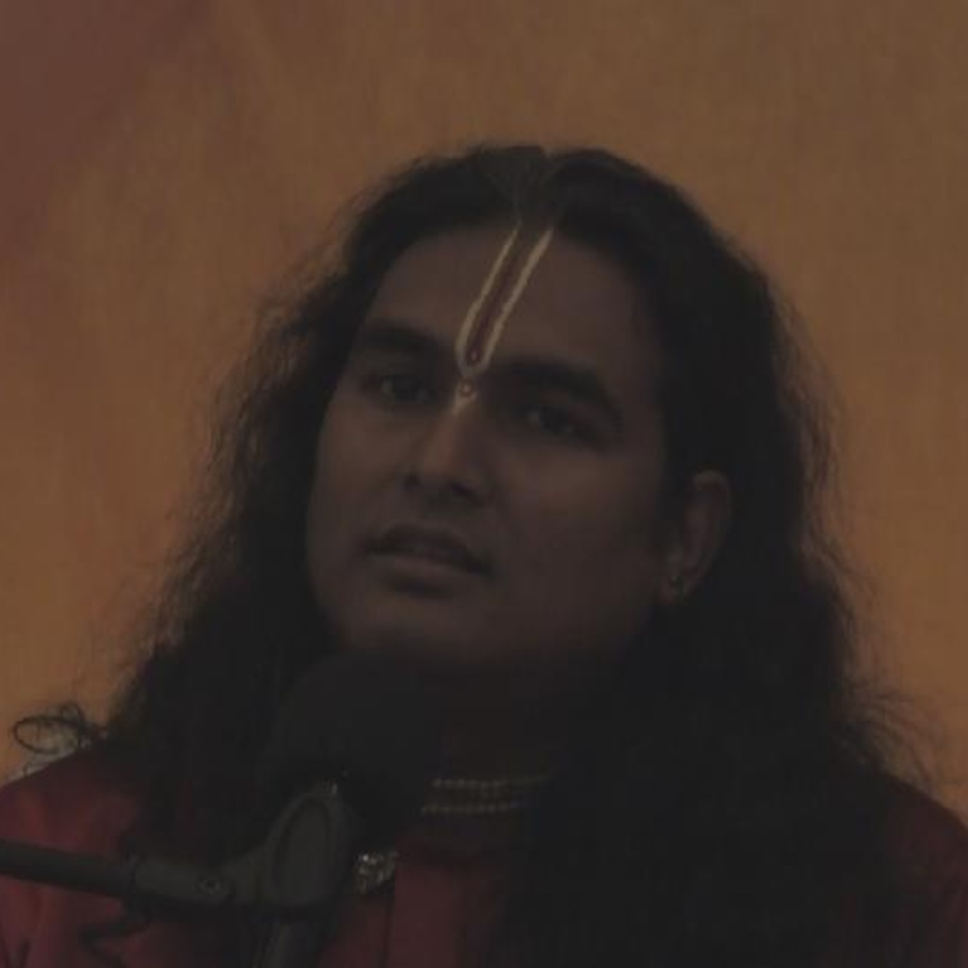 2012 and our longing for a higher purpose - Darshan Talk by Sri Swami Vishwananda of 5 Feb 2011 episode artwork