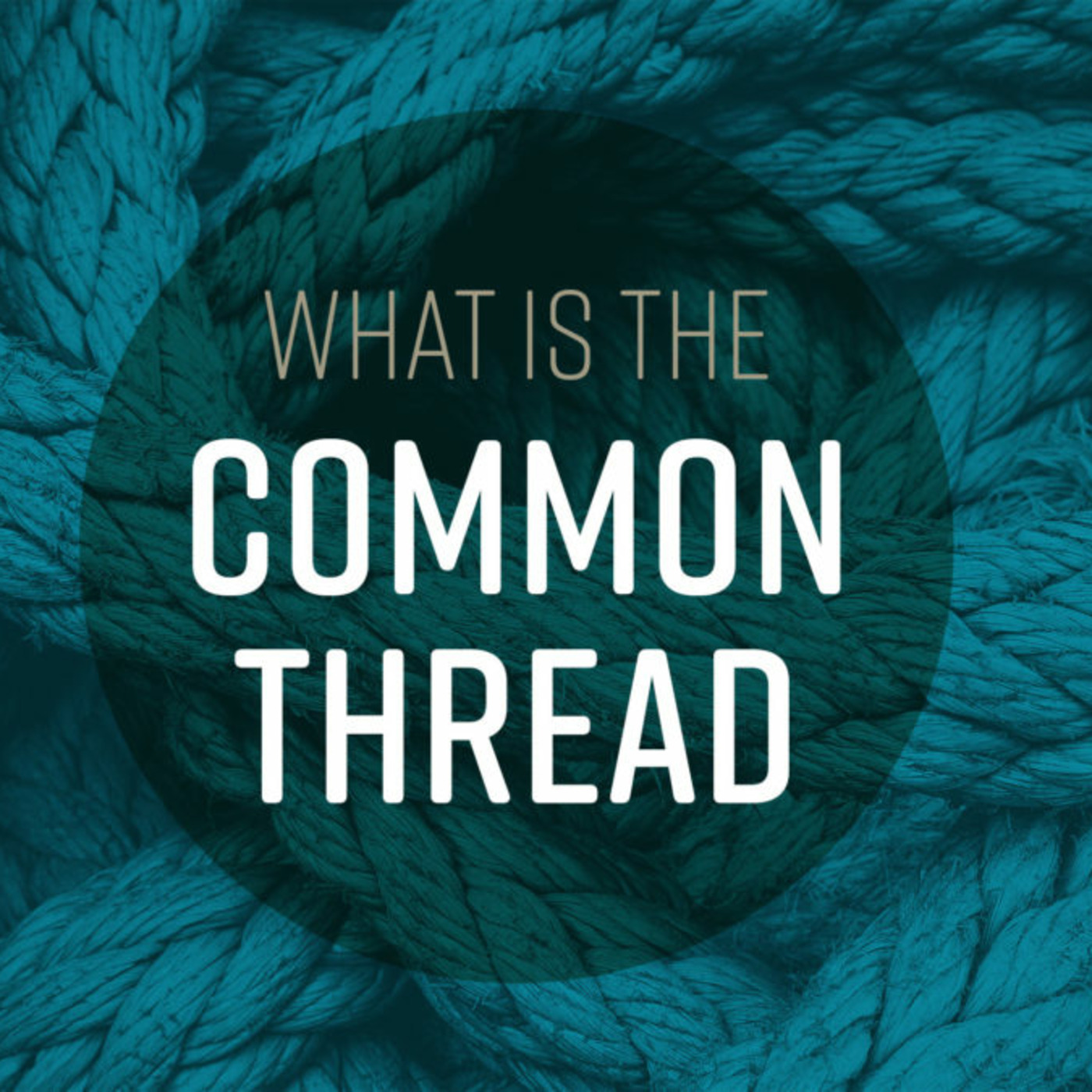 Pacific Street Blues & Americana