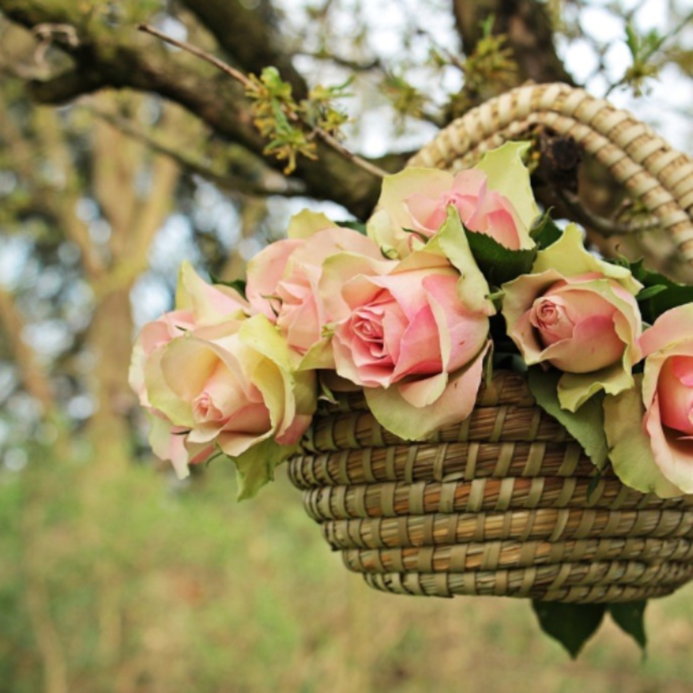 Vicky Adkins' Podcast