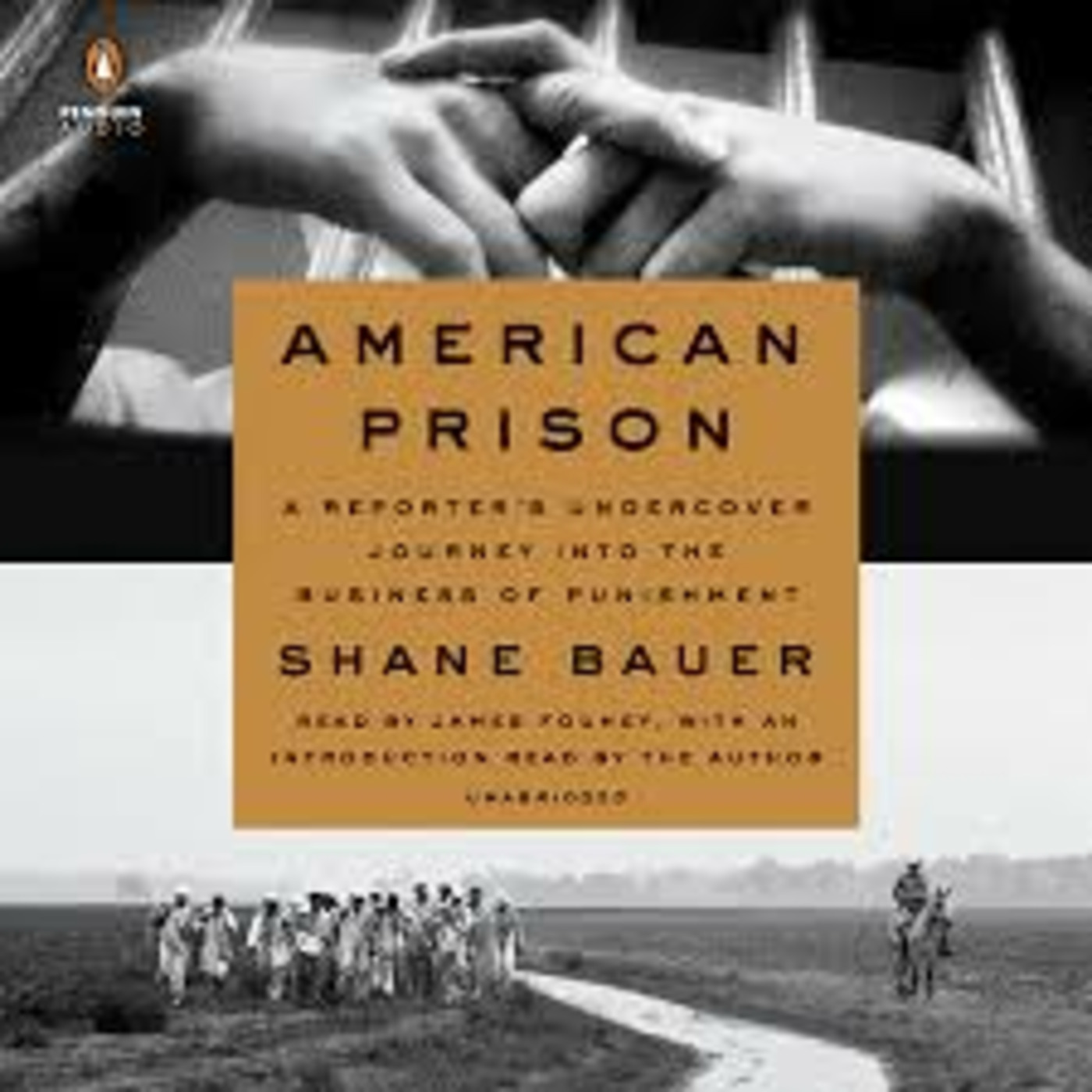 Shane Bauer American Prison episode artwork