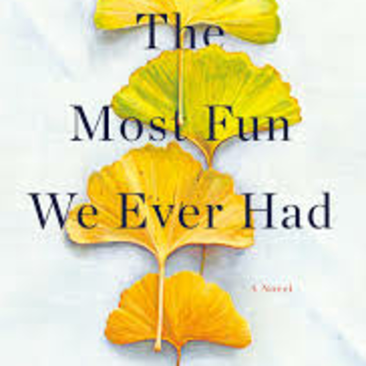 The Most Fun We Ever Had Claire Lombardo episode artwork