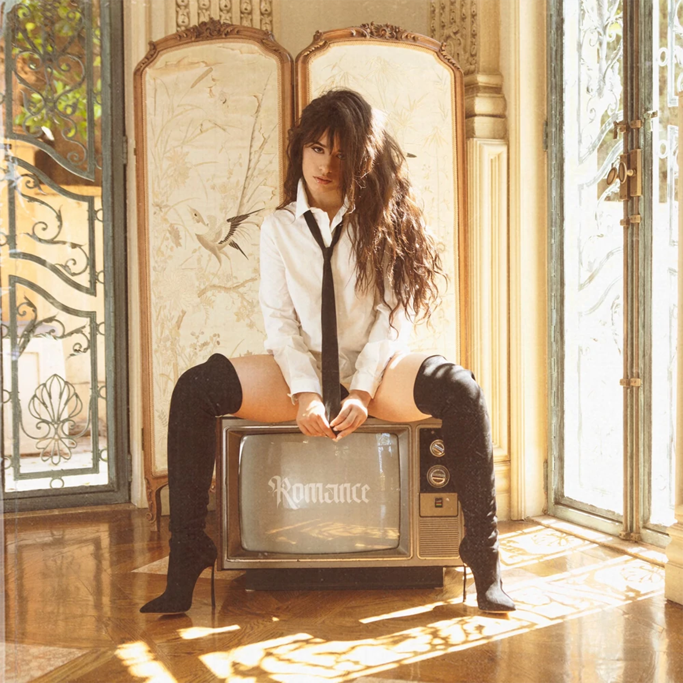 Camila Cabello - Terrified episode artwork