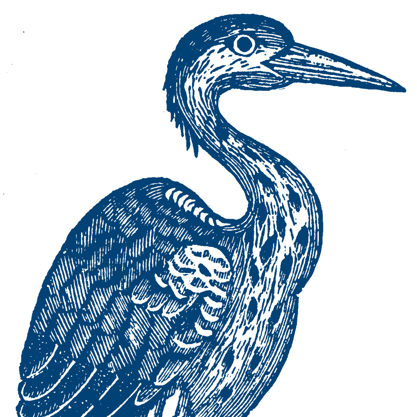 Blue Heron (Vocal Ensemble) Podcast