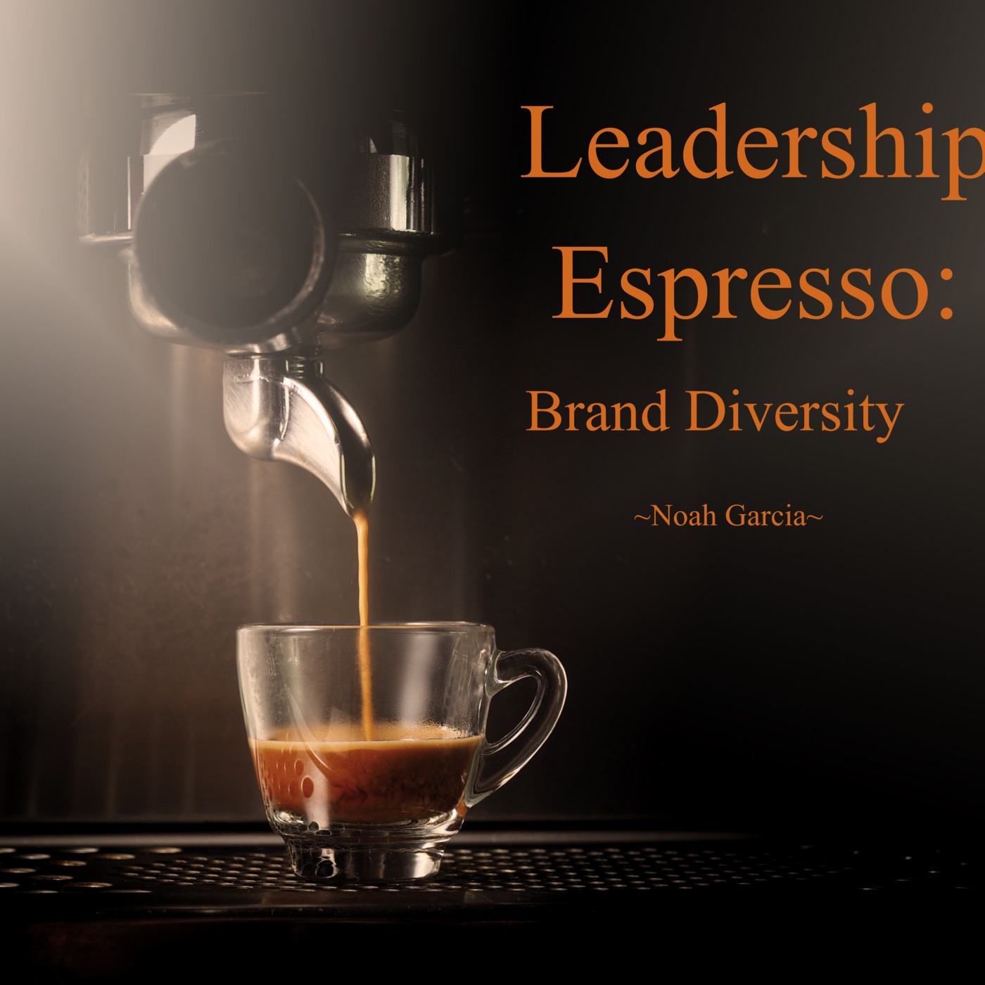 Leadership Espresso: Brand Diversity