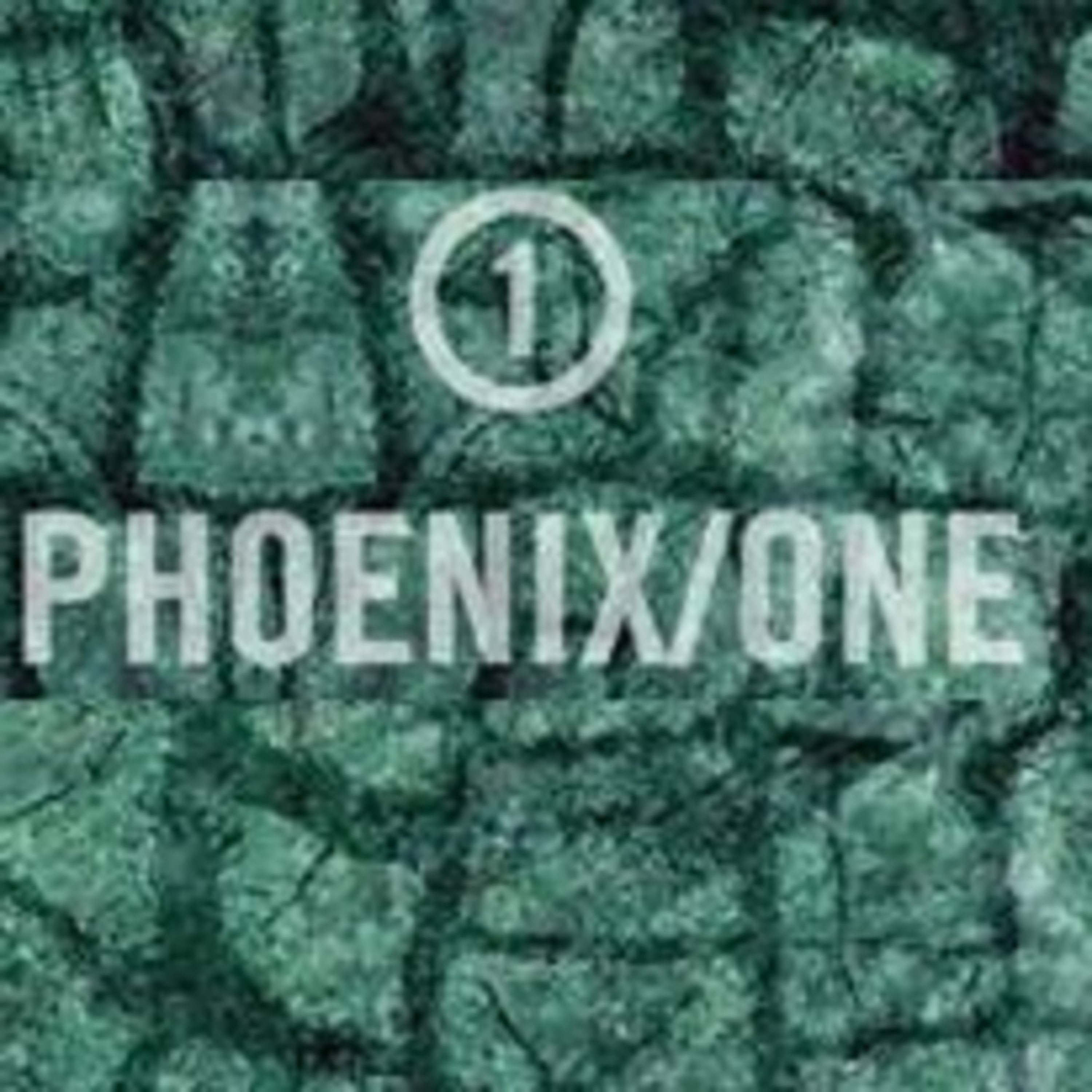 PhoenixONE Podcast