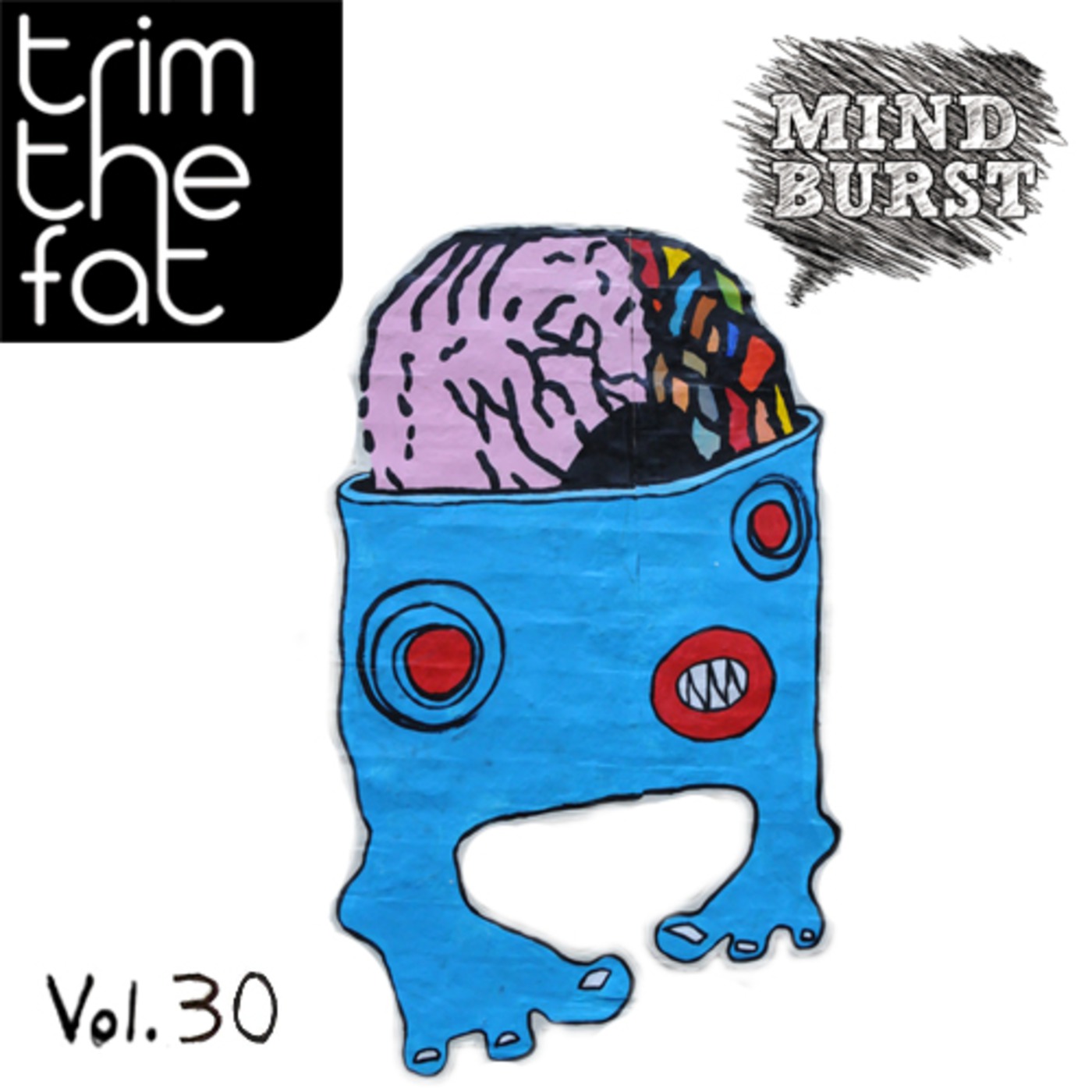 Mind Burst Vol.30