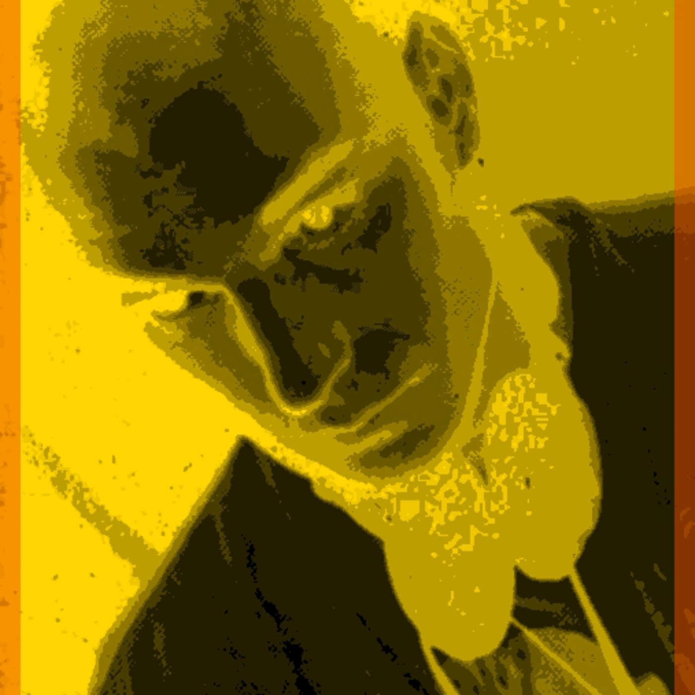 St.Paul on acid's Podcast