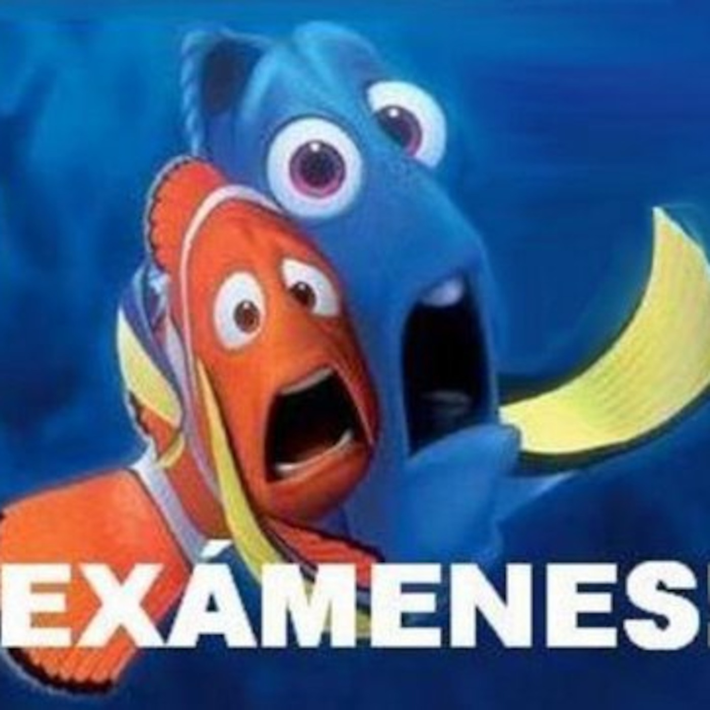 Semana de examenes episode artwork