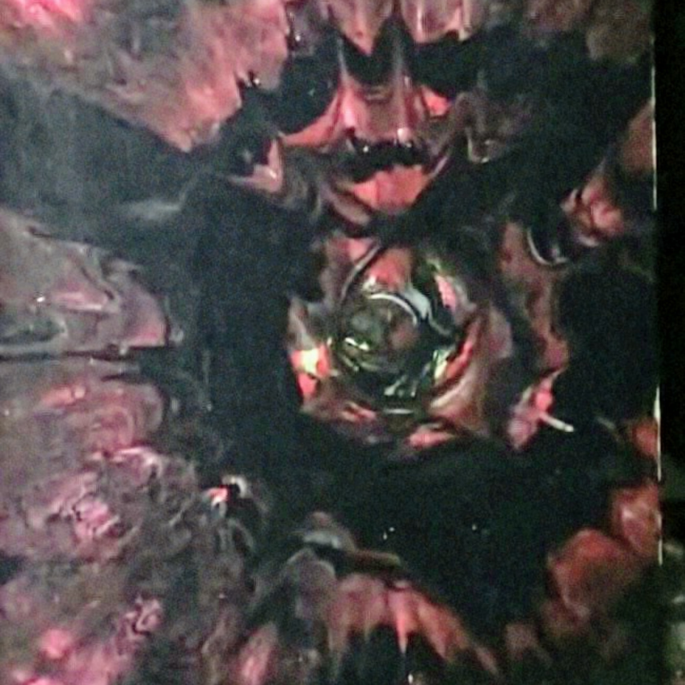 AlcheMinistry Labs 79 Rose episode artwork