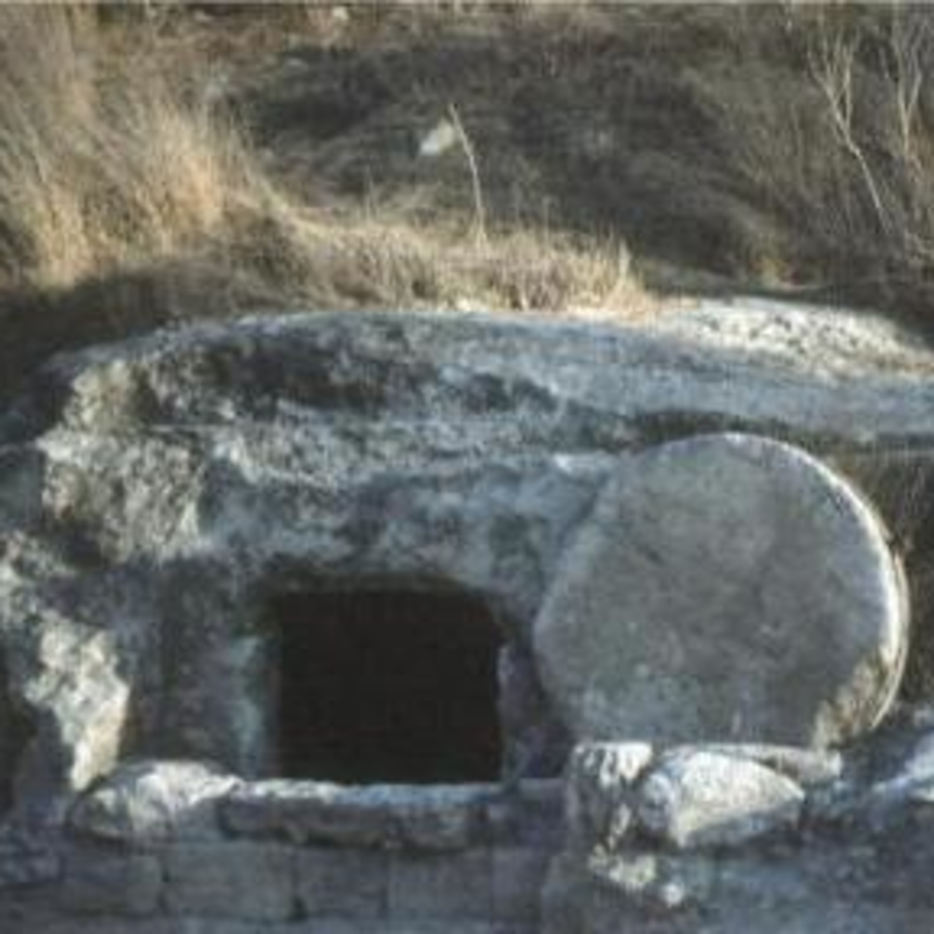 Episode 008-Resurrection