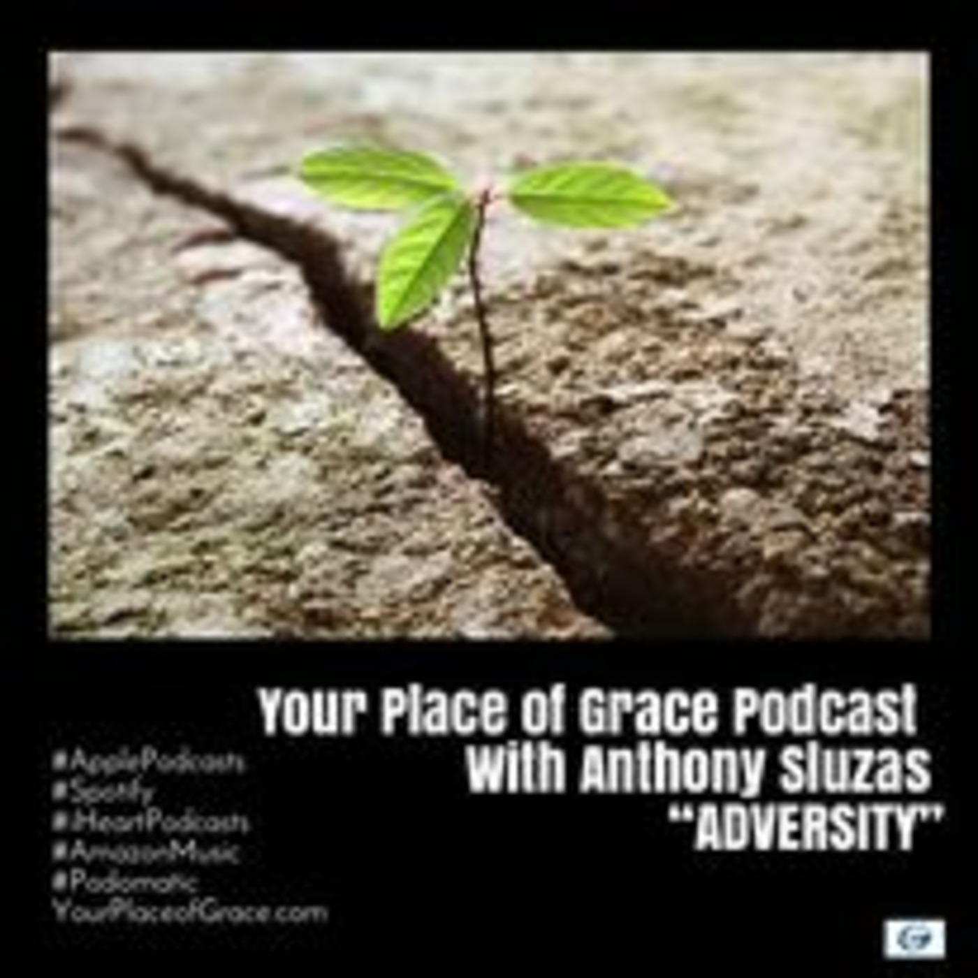 Episode 315: ADVERSITY