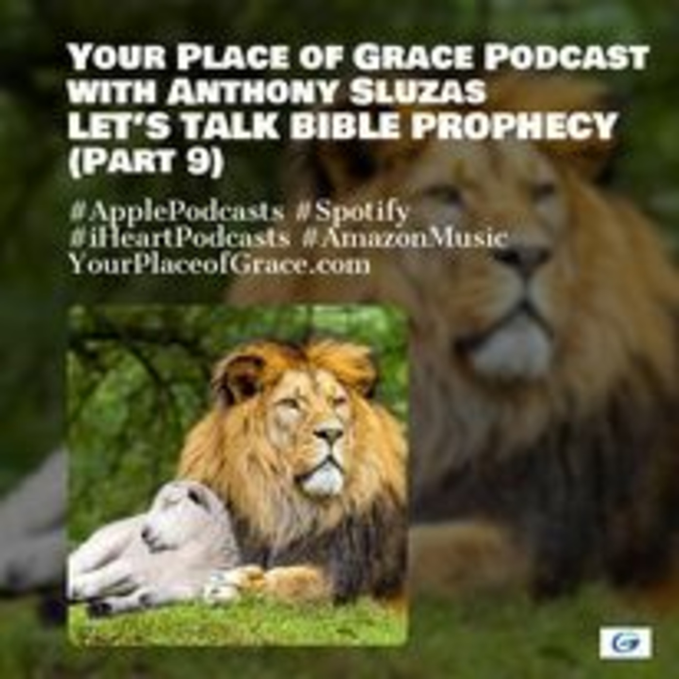 Episode 358: LET'S TALK BIBLE PROPHECY (Part 9)