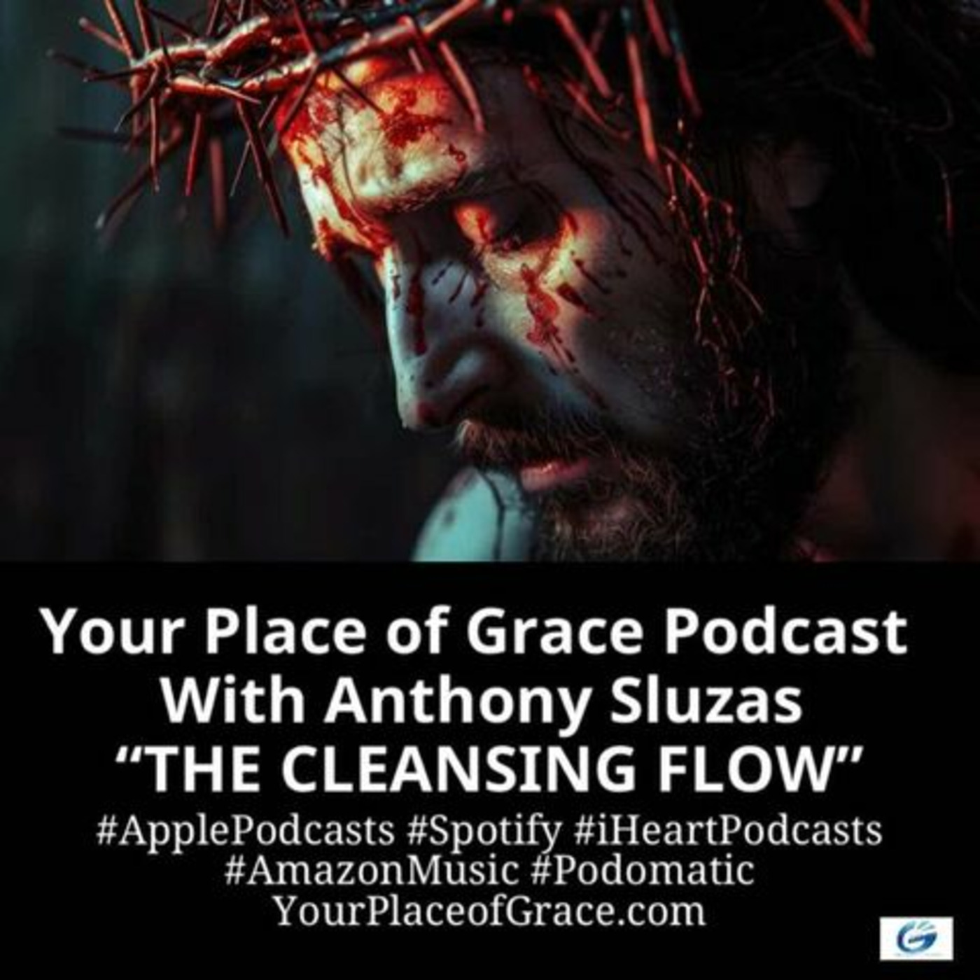 Episode 367: THE CLEANSING FLOW