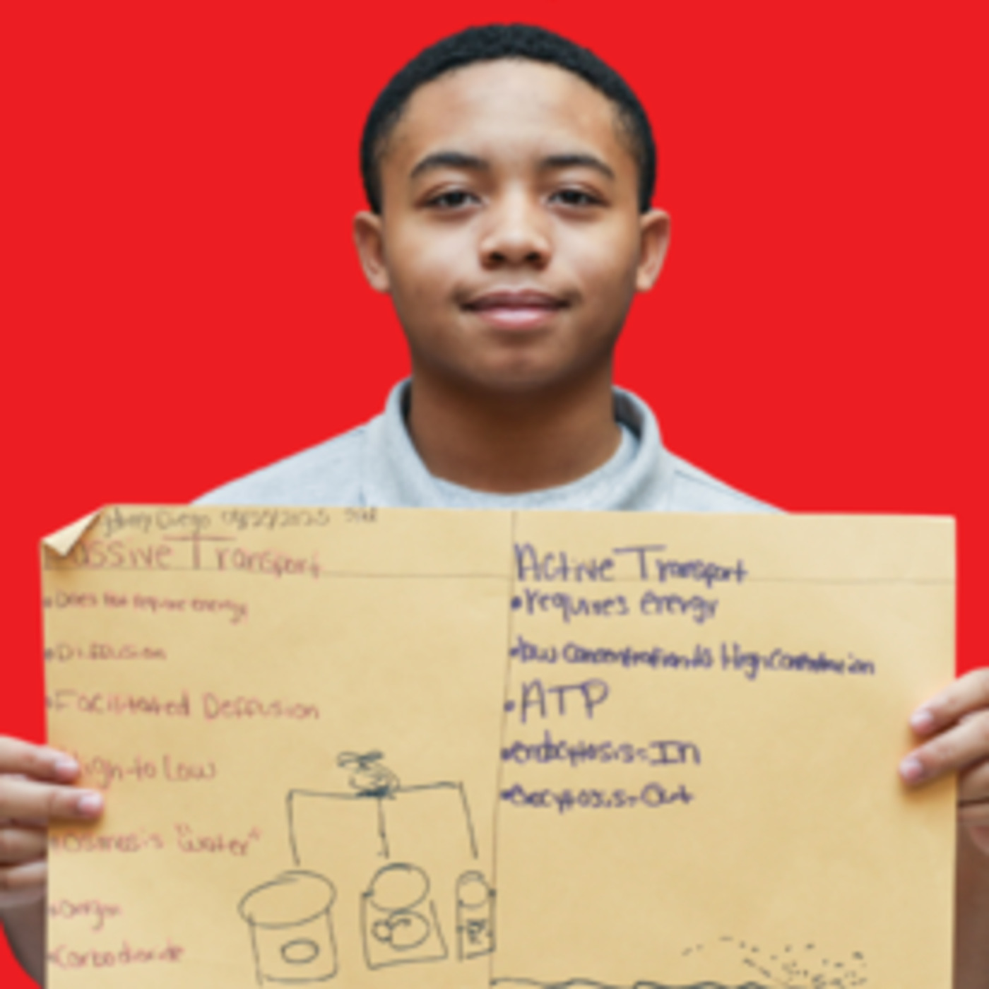 Episode 14: STAAR Review TEK 5C Passive and Active Transport