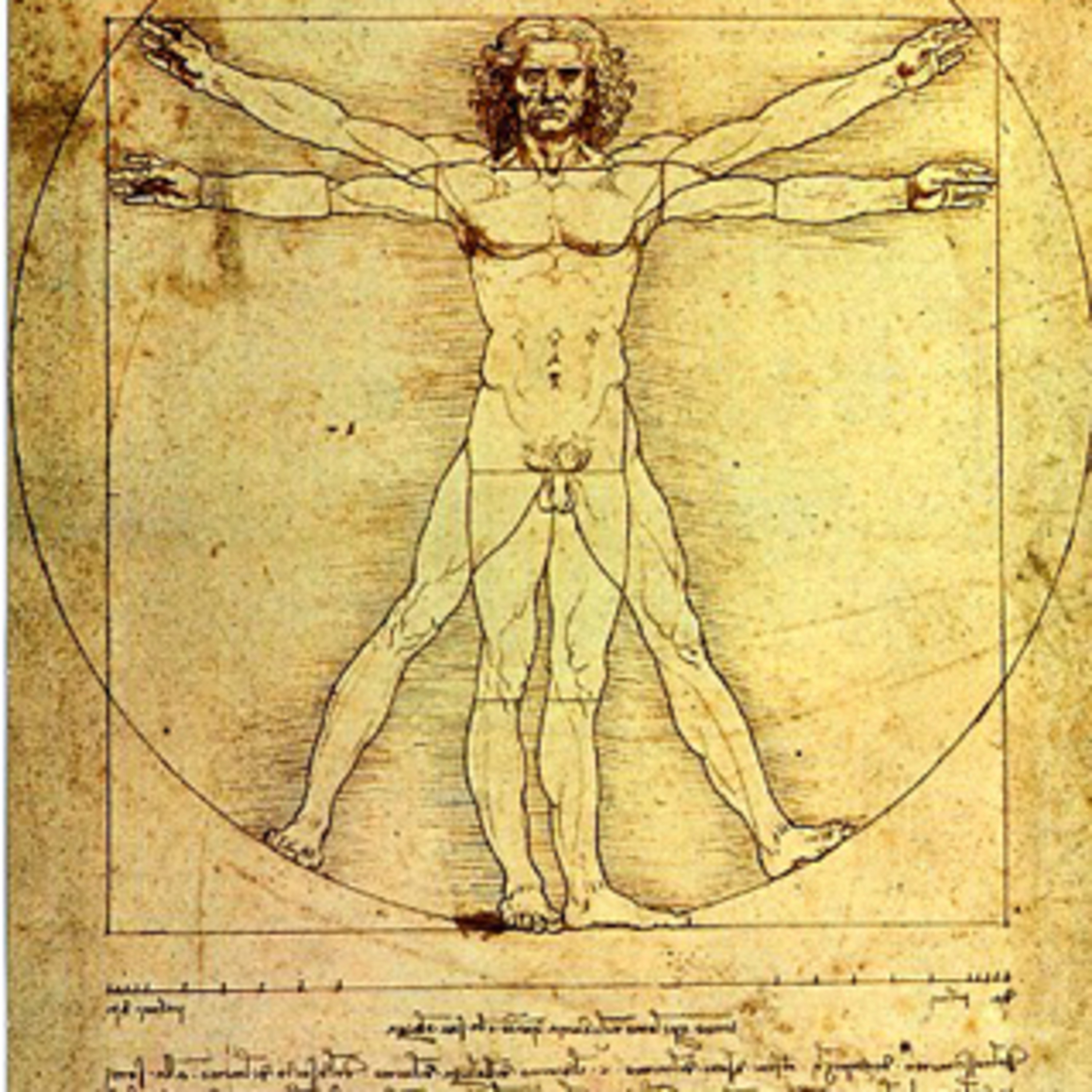 Леонардо да Винчи золотое сечение человека