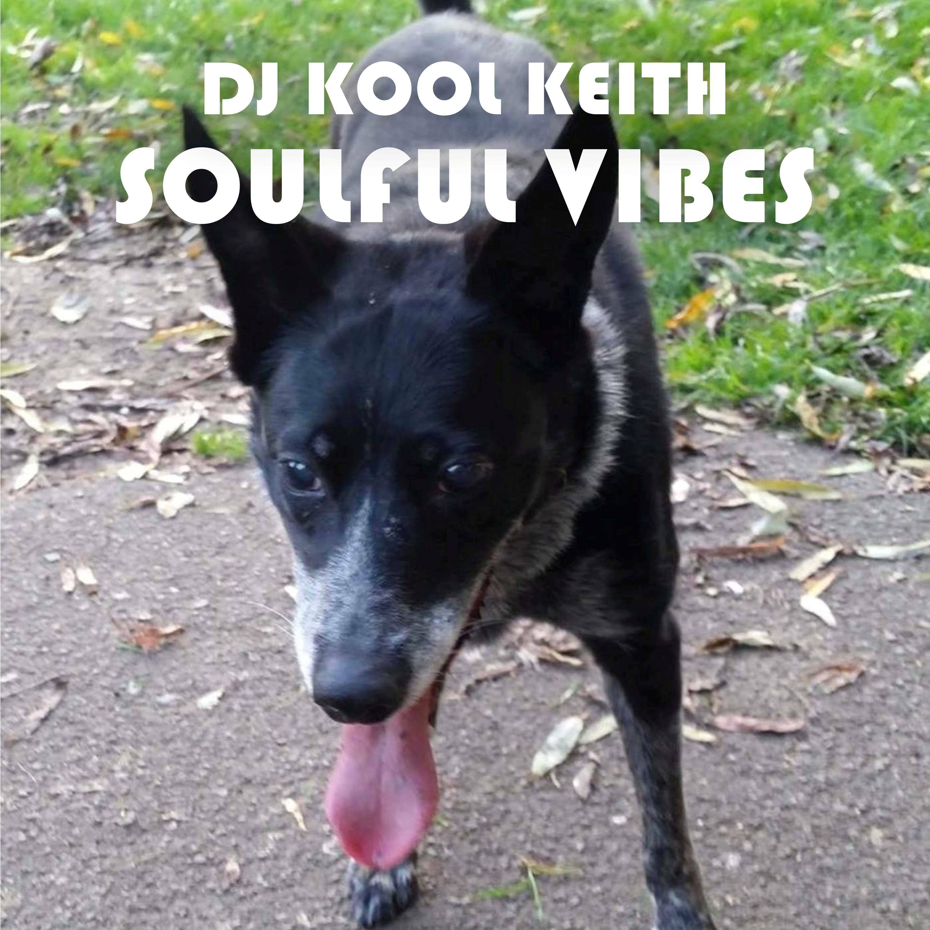 DJ Kool Soulful Vibes