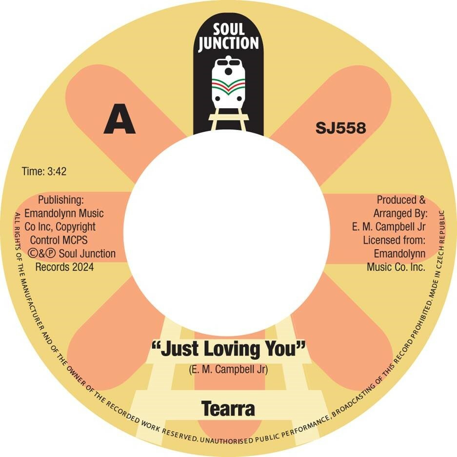 DJ Kool Soulful Vibes