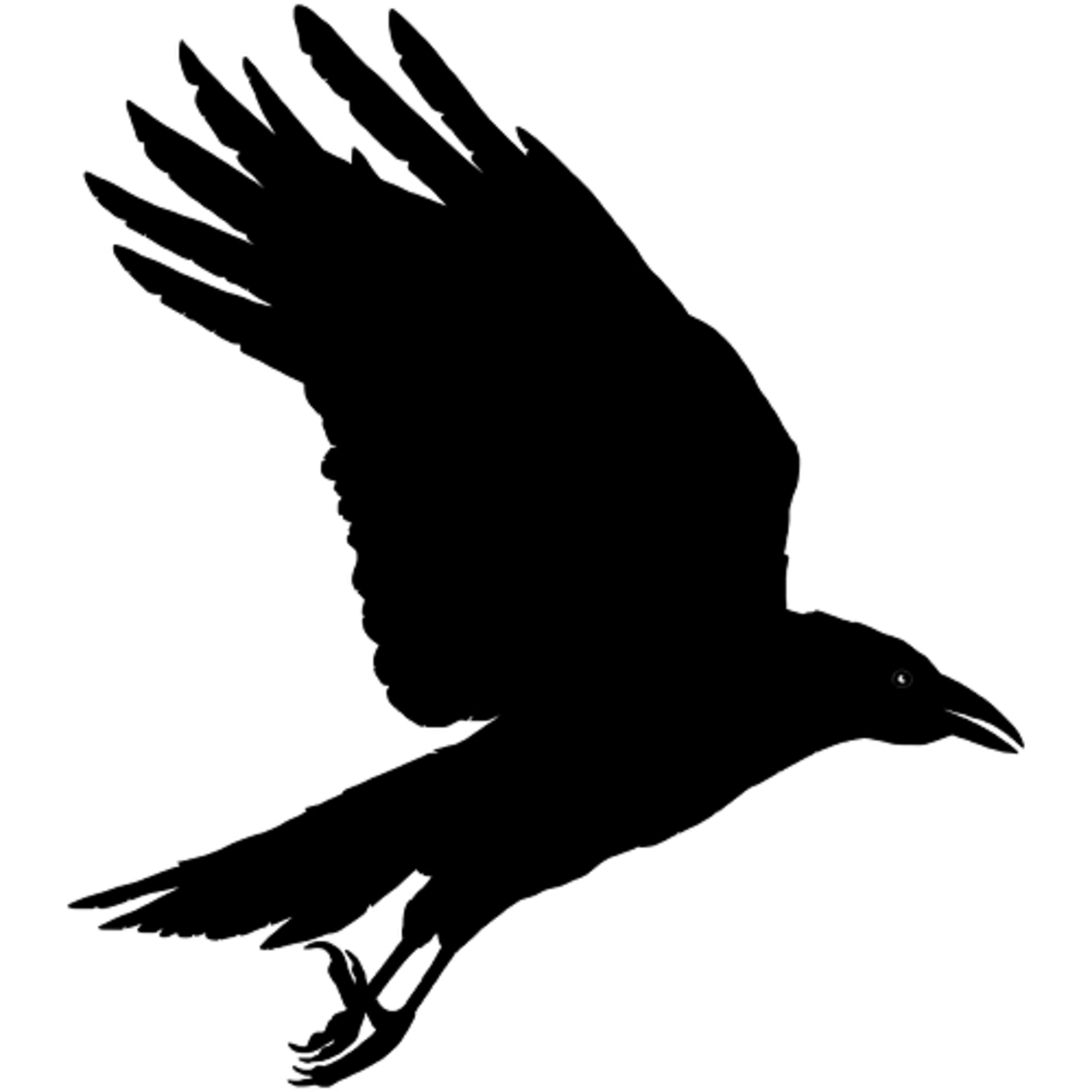The Ravens episode artwork
