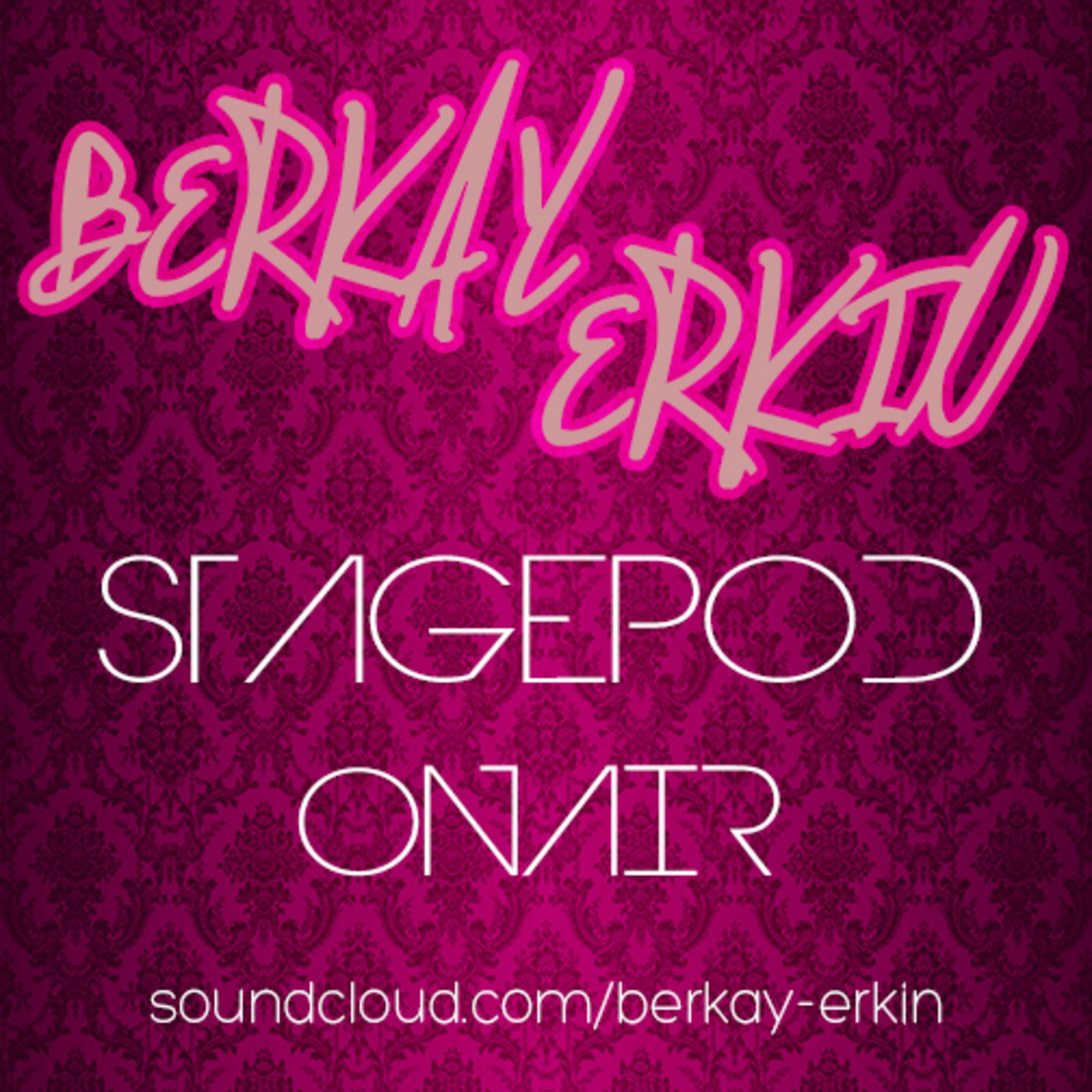 Berkay Erkin's Podcast