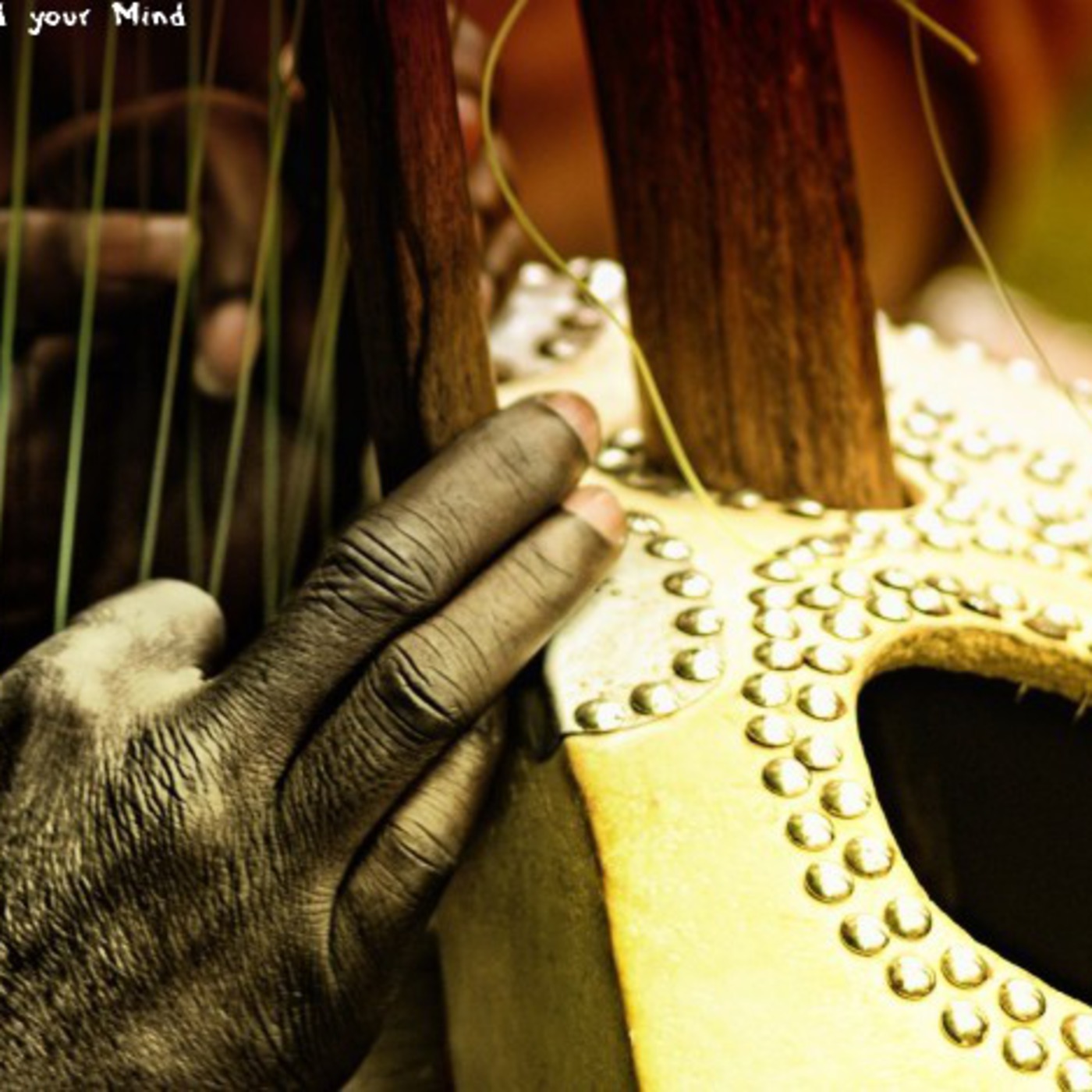 ZooLife 005 