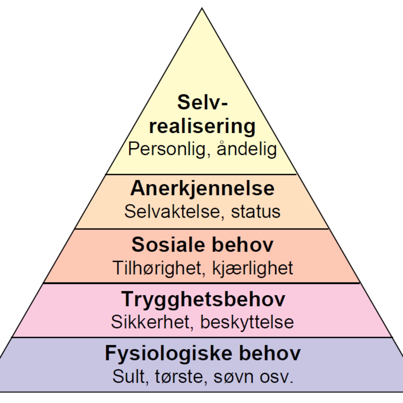 Norsklærer Karense