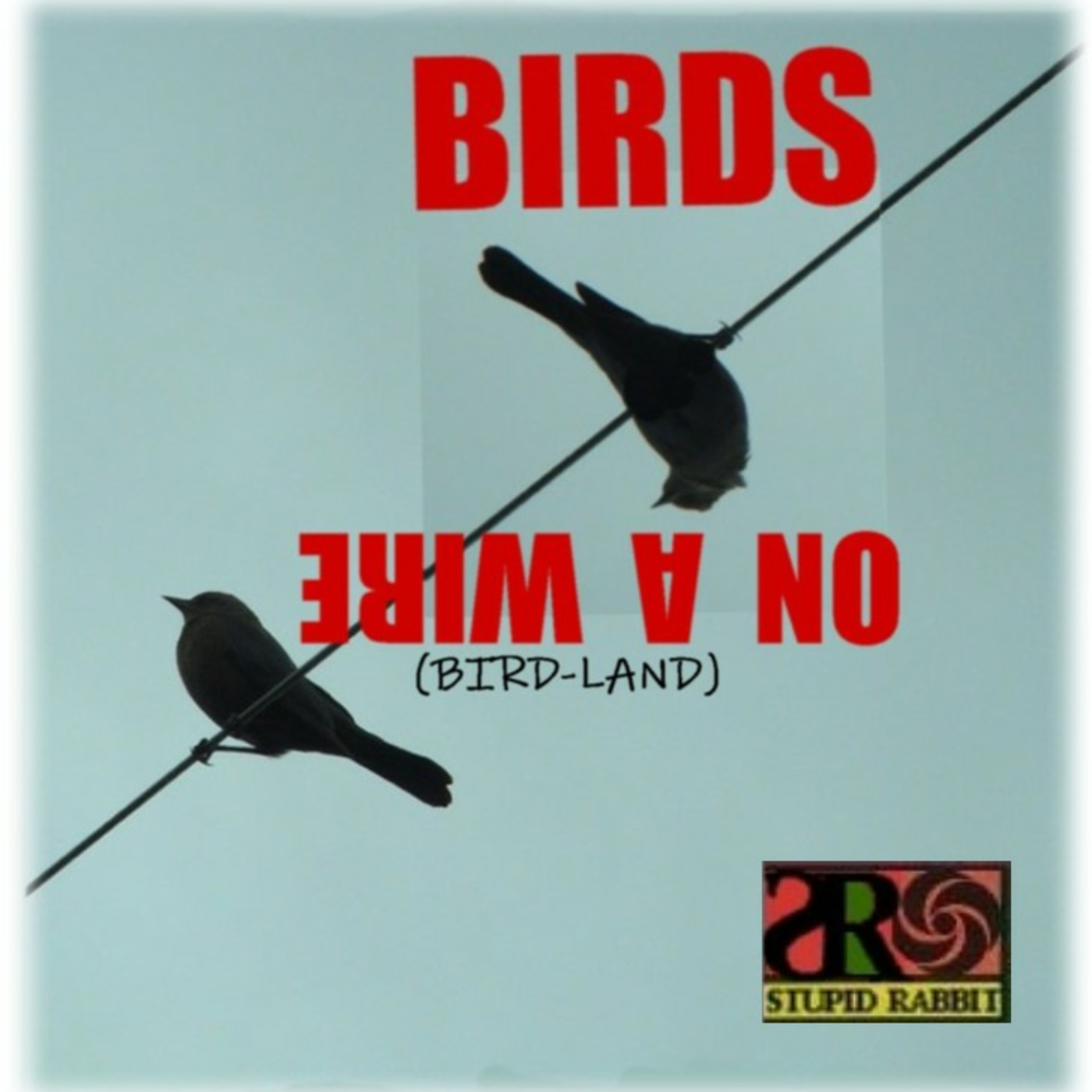 Episode 298: Birds On A Wire aka Bird-Land episode artwork
