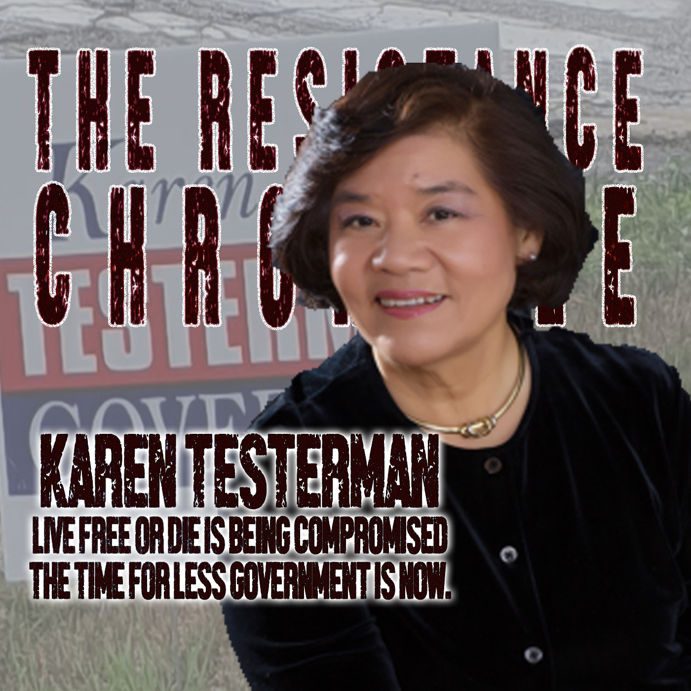 Episode 23: Karen Testerman Joins TRC - Big Changes Start Locally....Don't Let Live Free or Die Become Compromised