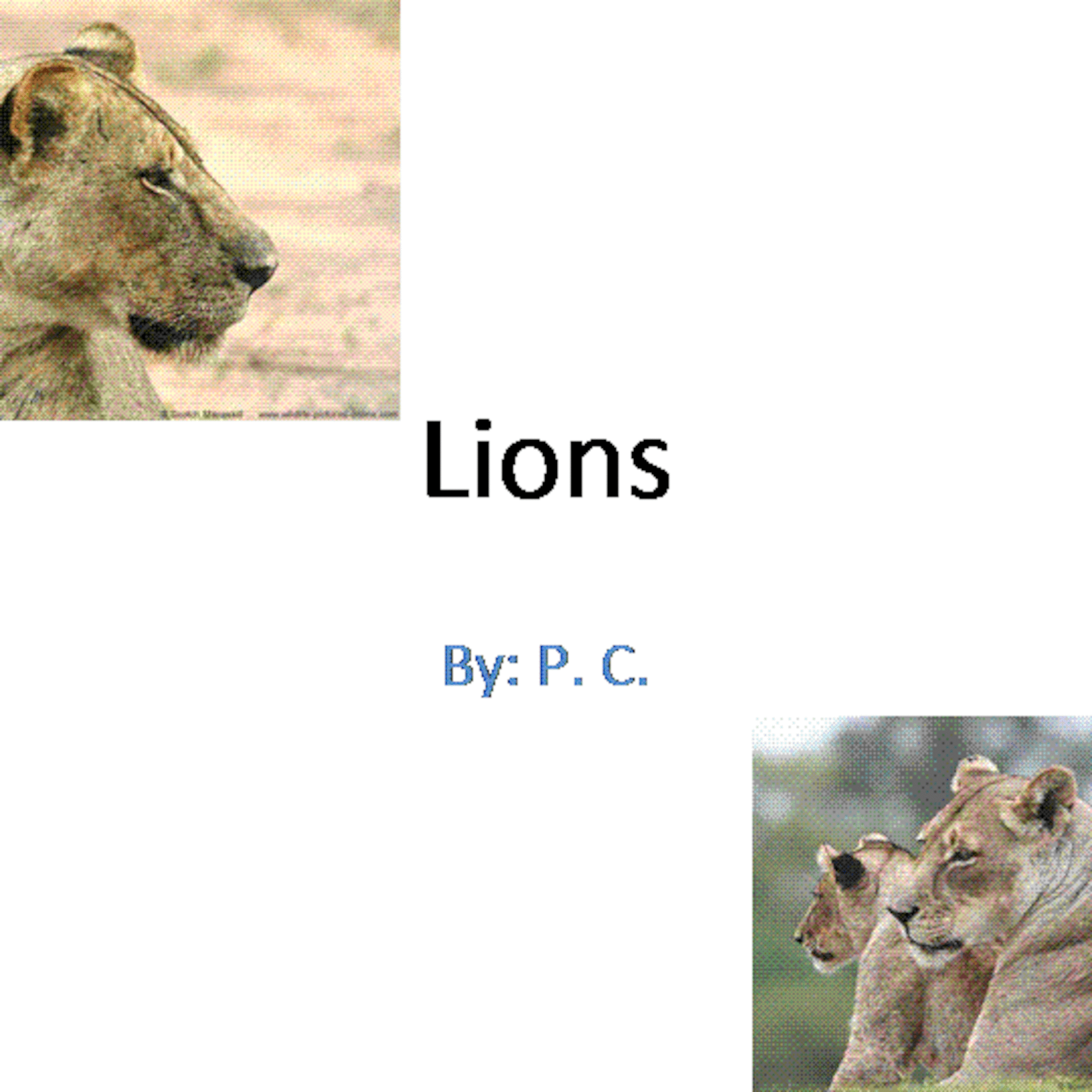 Lion Movie Created by Kindergarten Student episode artwork