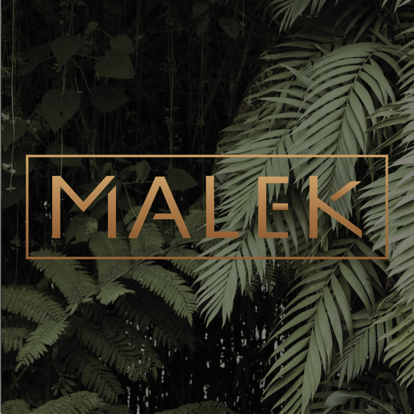 DJ Malek Podcast