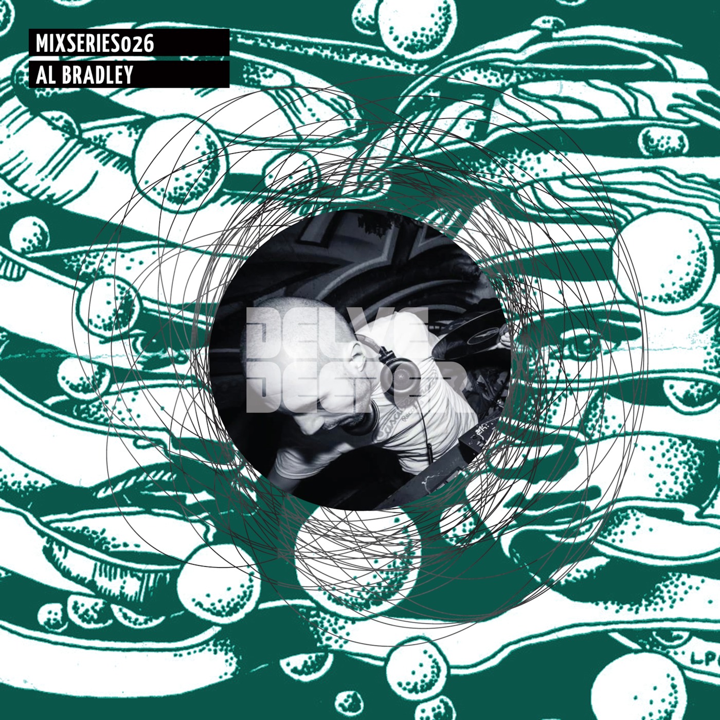 Delve Deeper Recordings MixSeries
