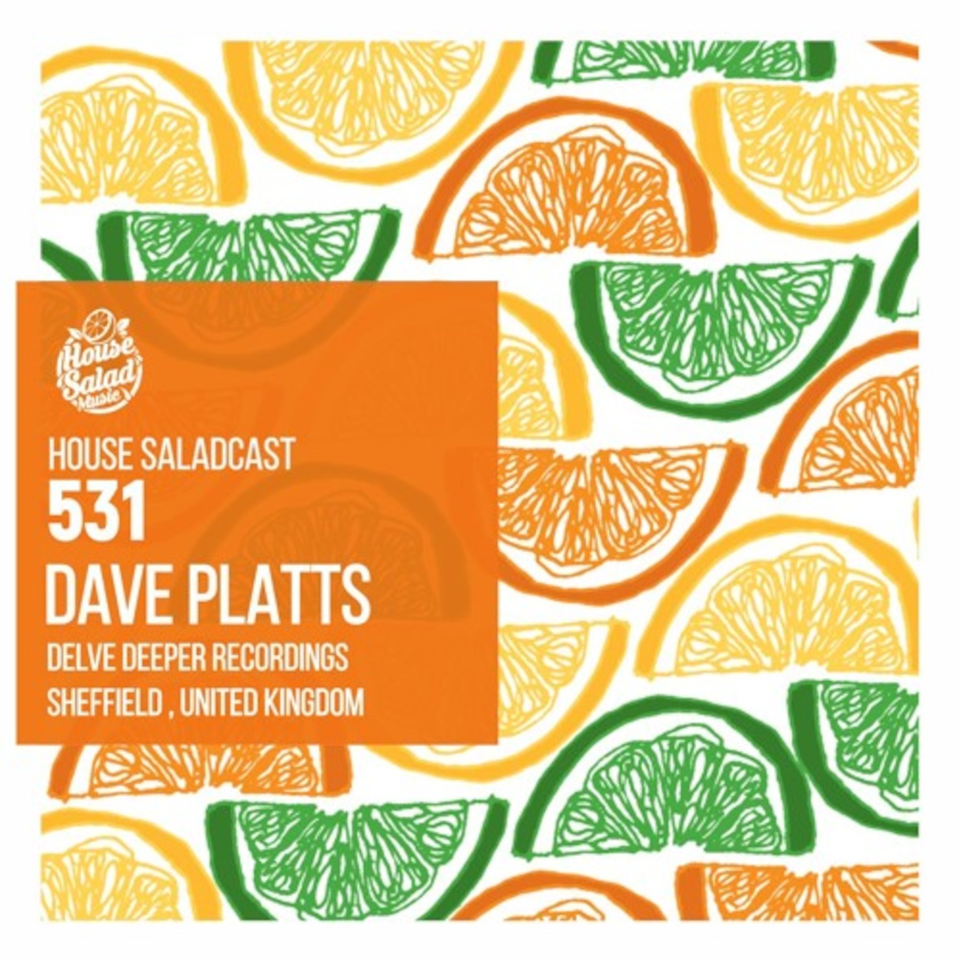 Delve Deeper Recordings MixSeries