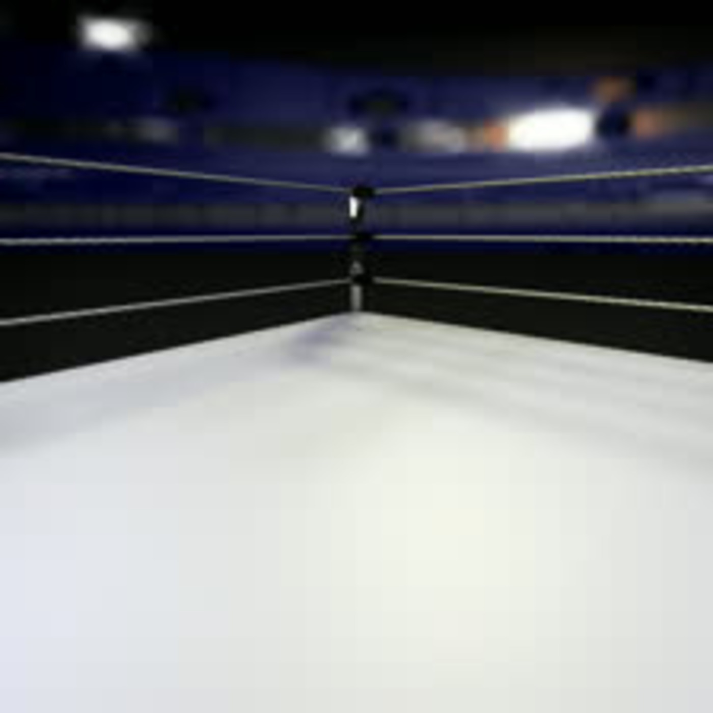 Episode 1 - Wrestlemania 30 Predictions
