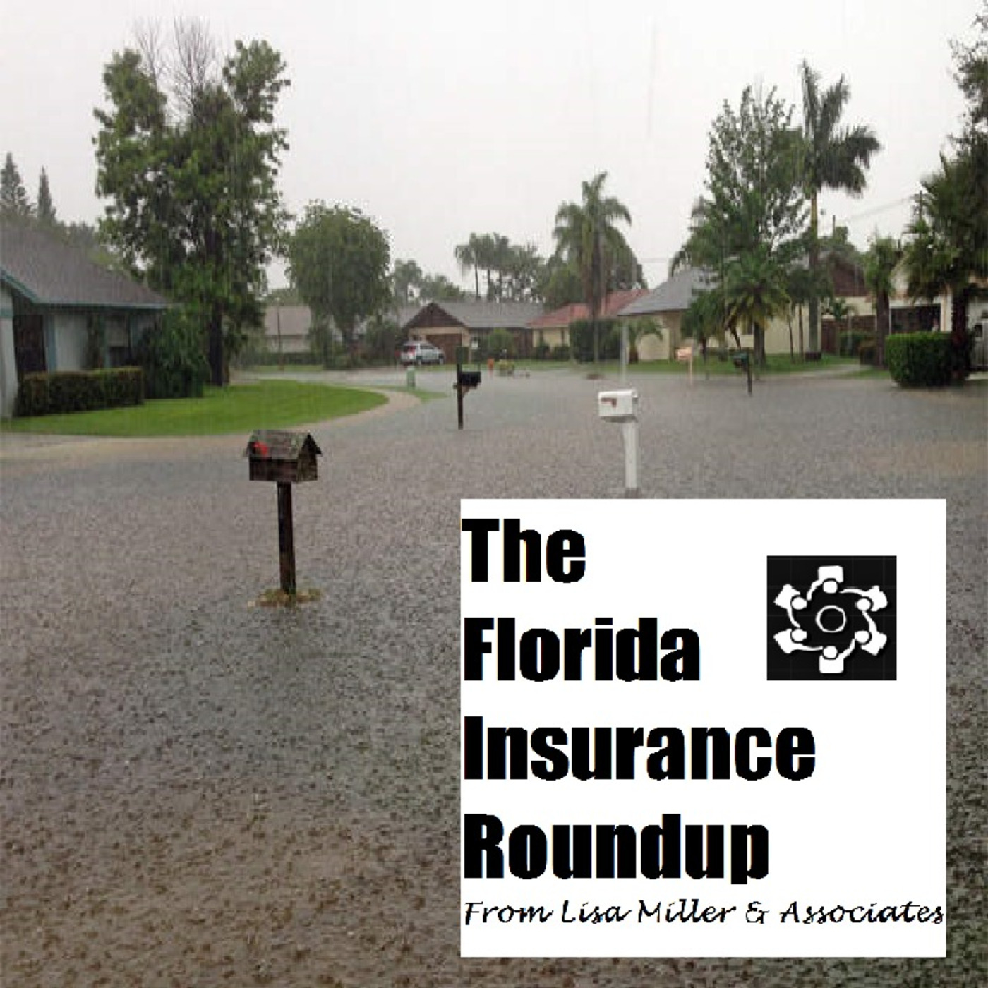 The Florida Insurance Roundup from Lisa Miller & Associates