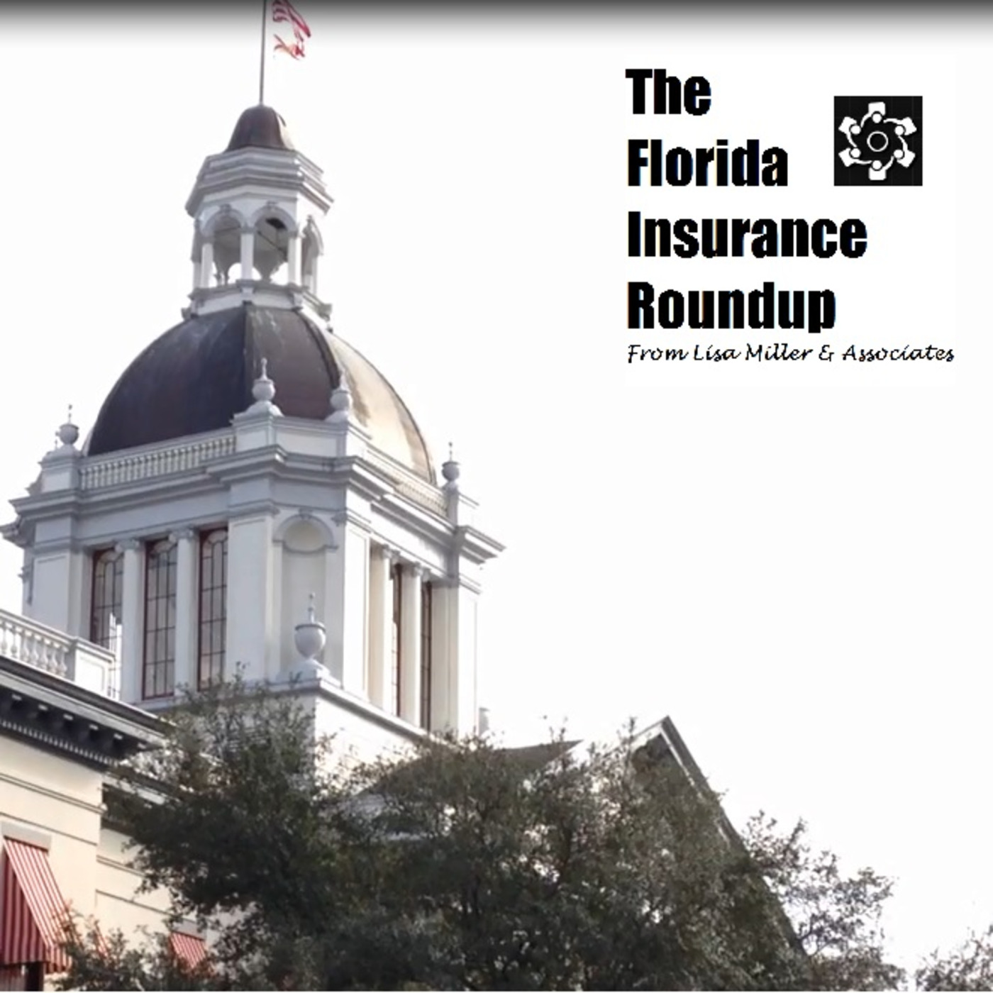 The Florida Insurance Roundup from Lisa Miller & Associates