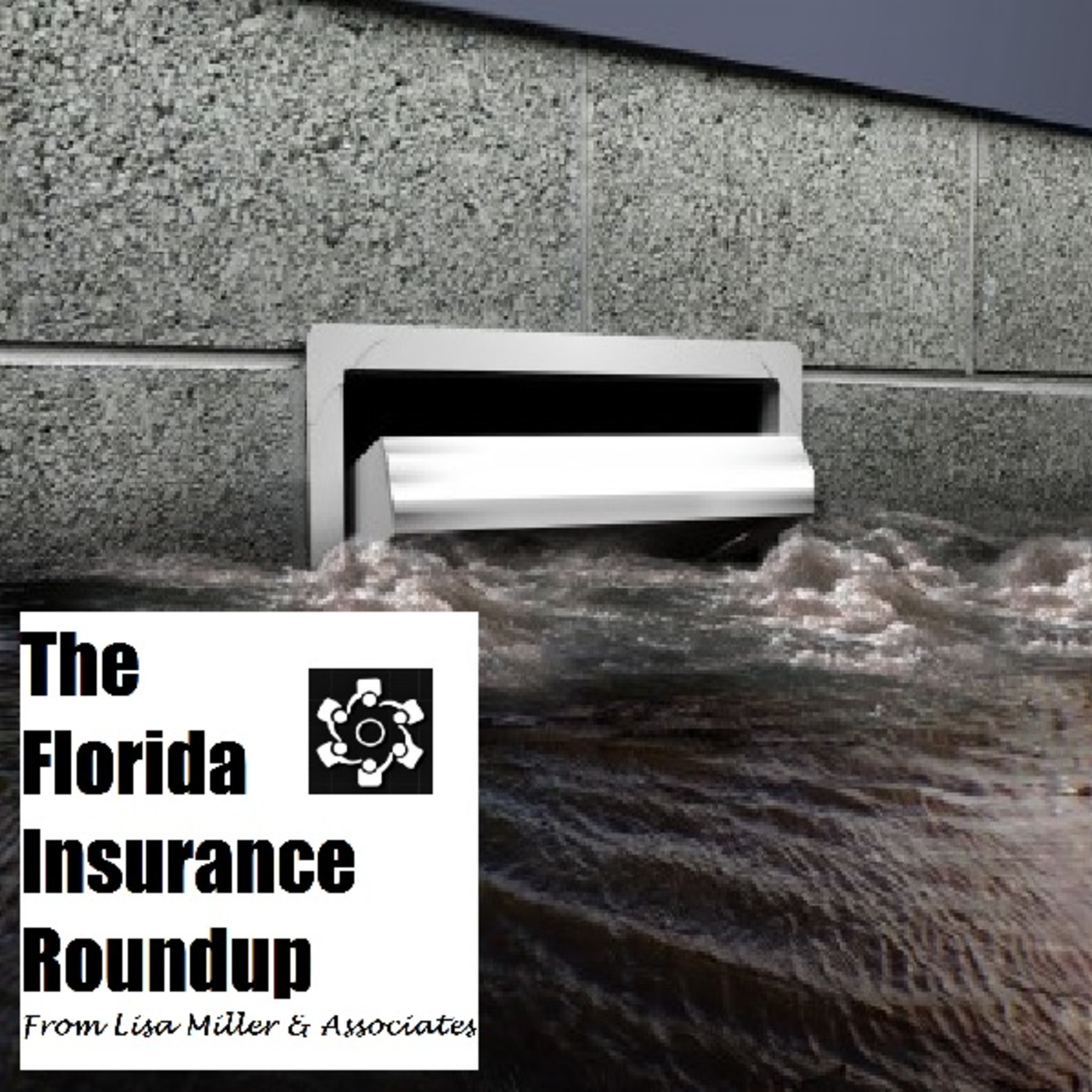 The Florida Insurance Roundup from Lisa Miller & Associates