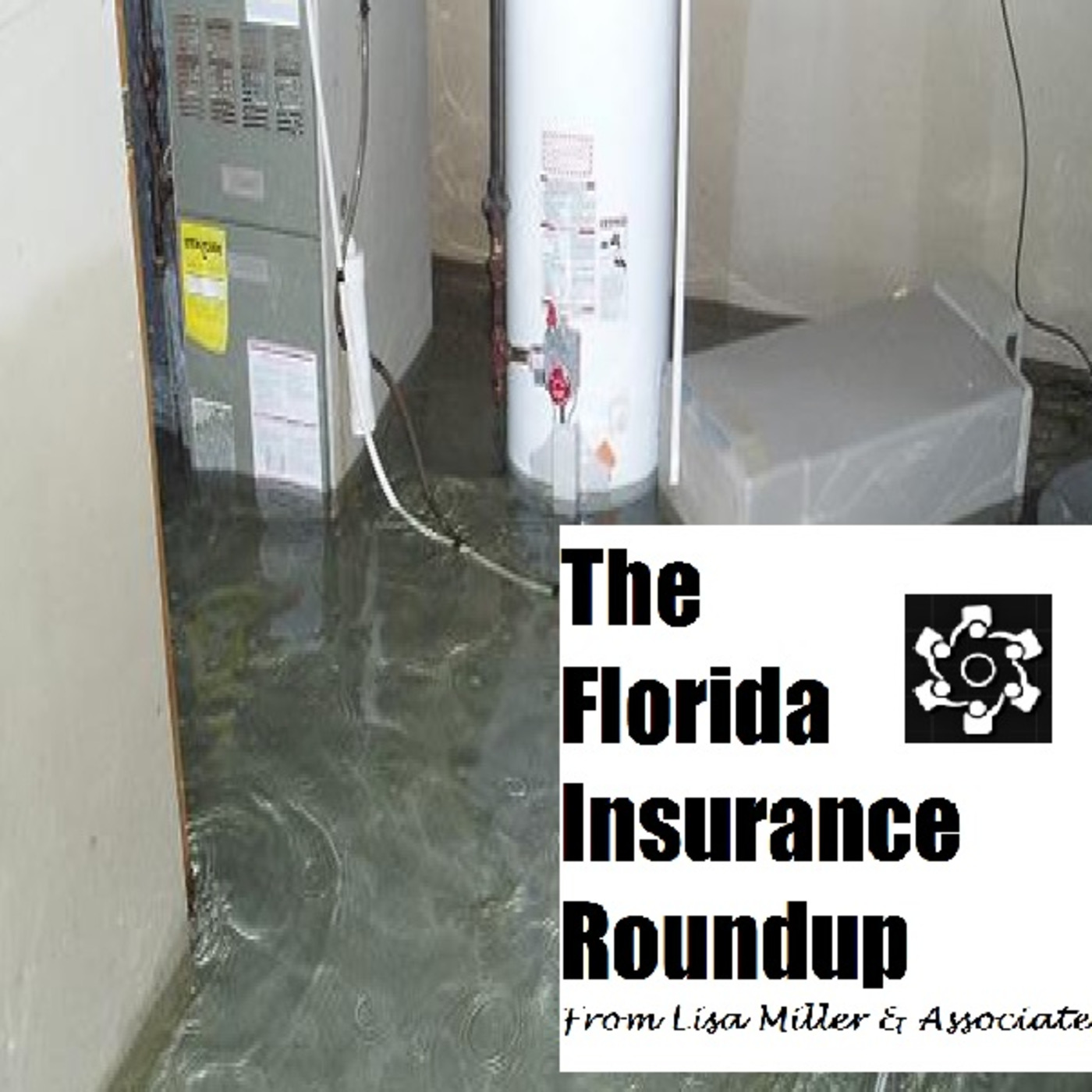 The Florida Insurance Roundup from Lisa Miller & Associates