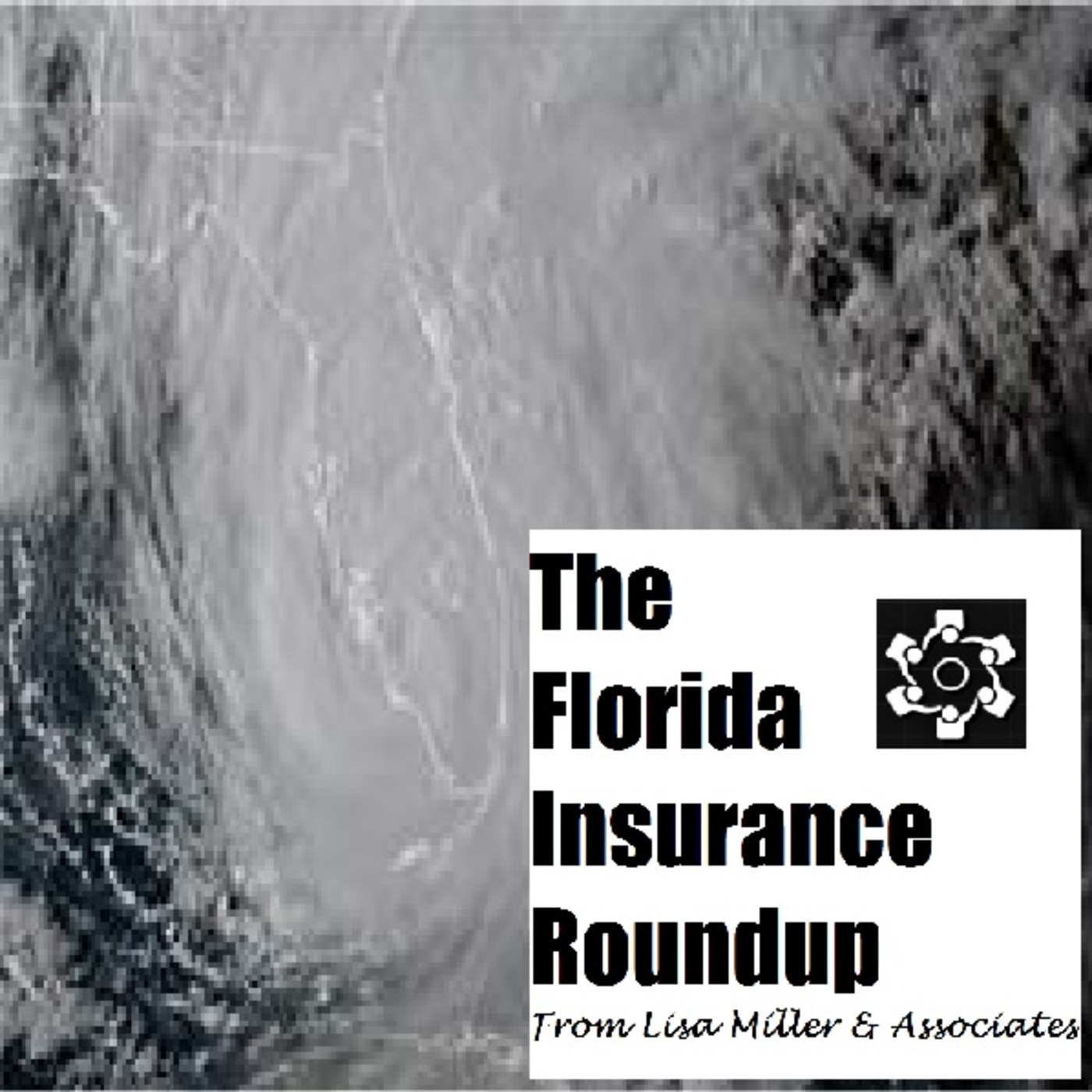 The Florida Insurance Roundup from Lisa Miller & Associates
