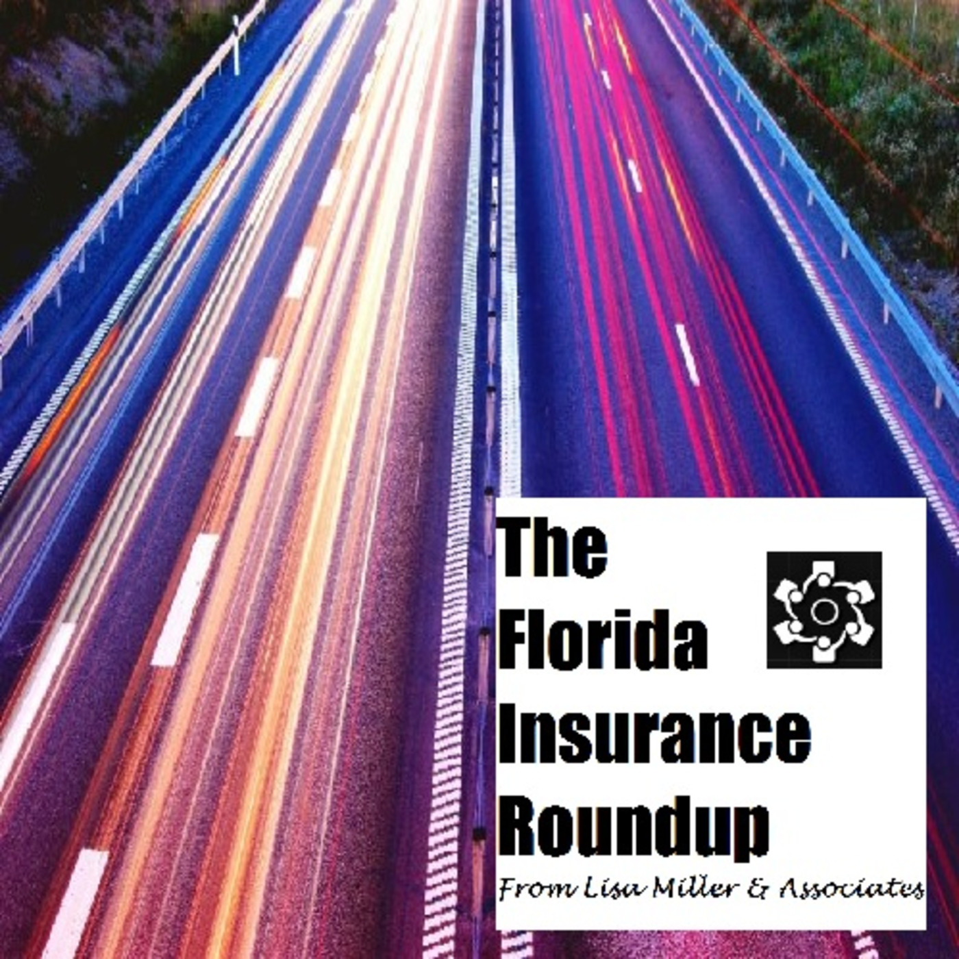 The Florida Insurance Roundup from Lisa Miller & Associates