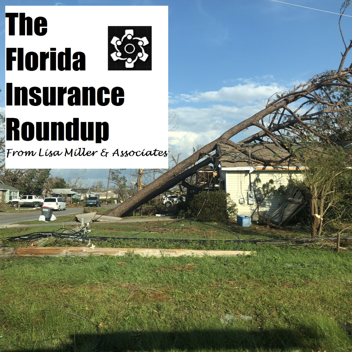The Florida Insurance Roundup from Lisa Miller & Associates