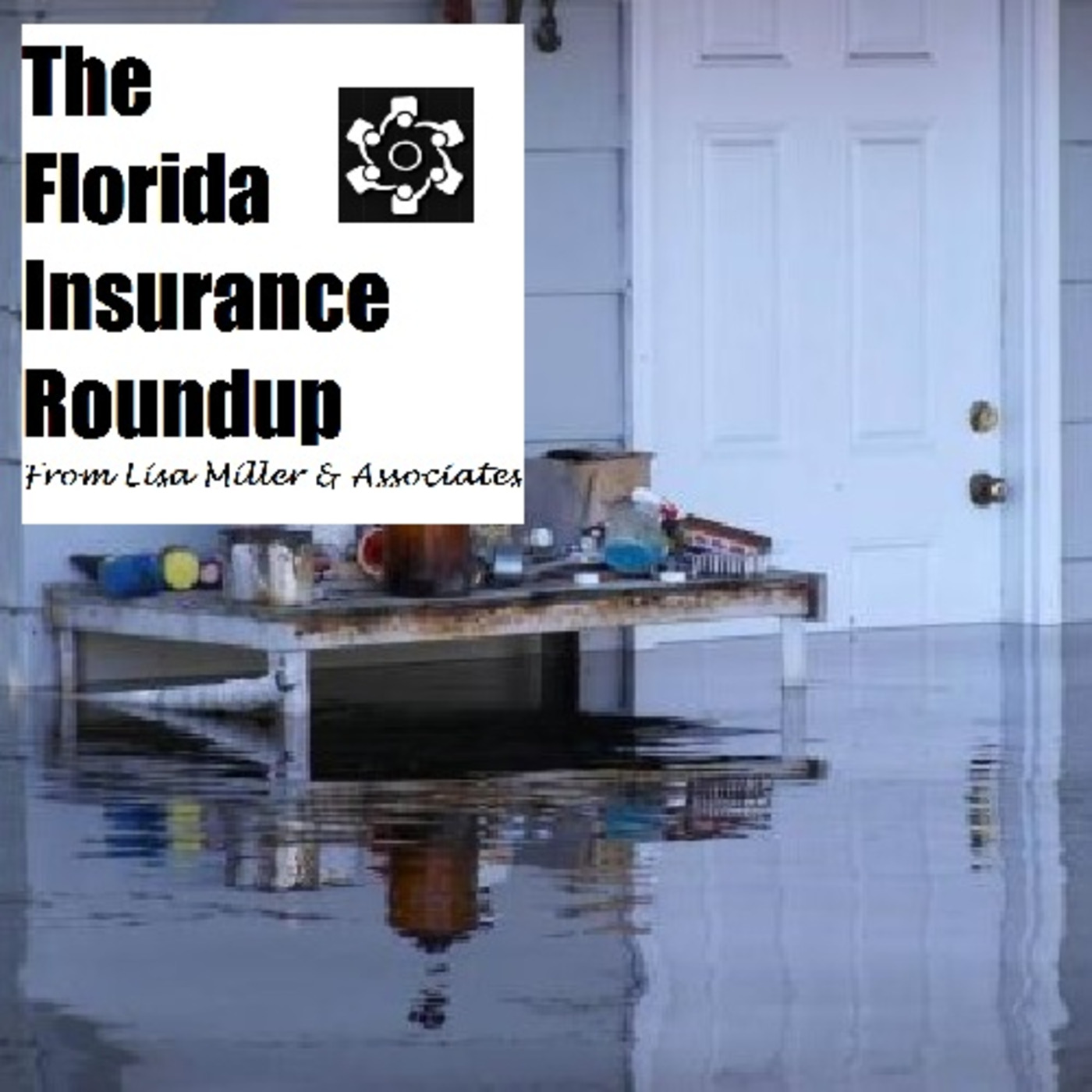 The Florida Insurance Roundup from Lisa Miller & Associates