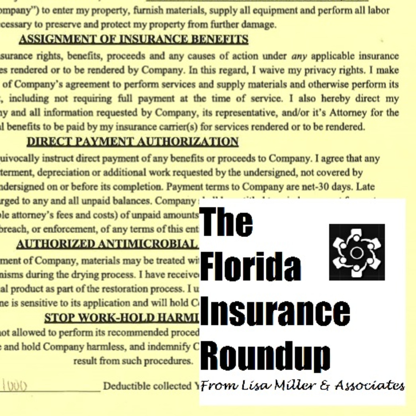The Florida Insurance Roundup from Lisa Miller & Associates