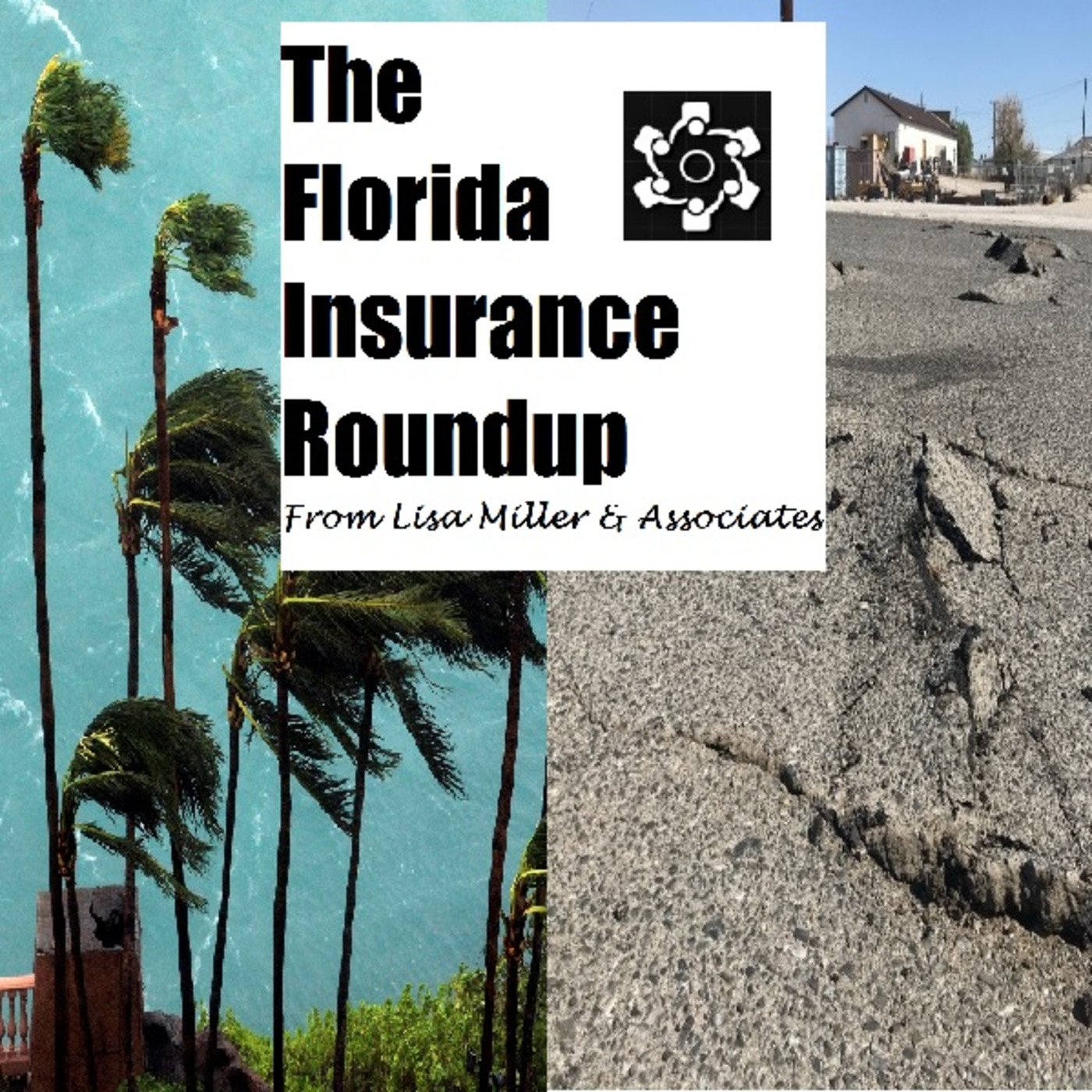 The Florida Insurance Roundup from Lisa Miller & Associates