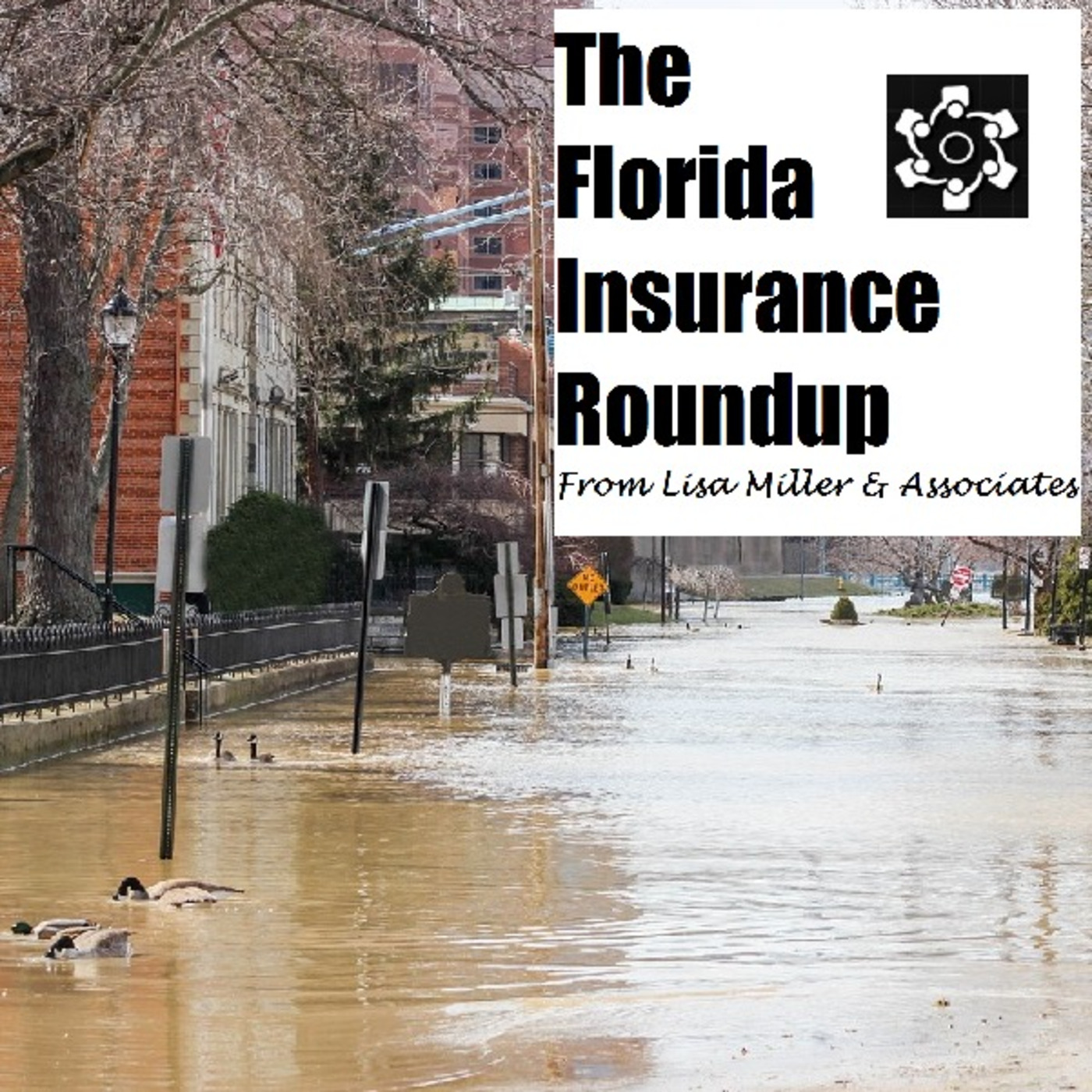 The Florida Insurance Roundup from Lisa Miller & Associates