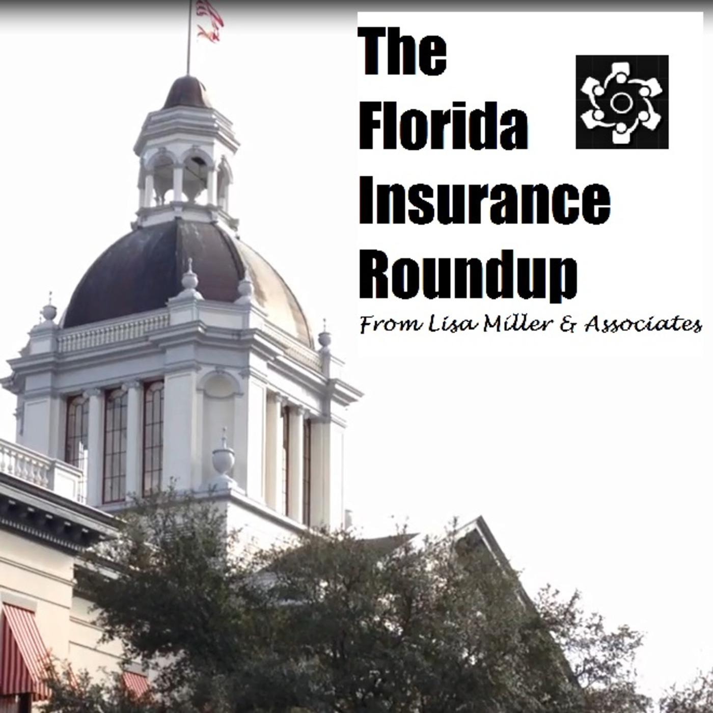 The Florida Insurance Roundup from Lisa Miller & Associates