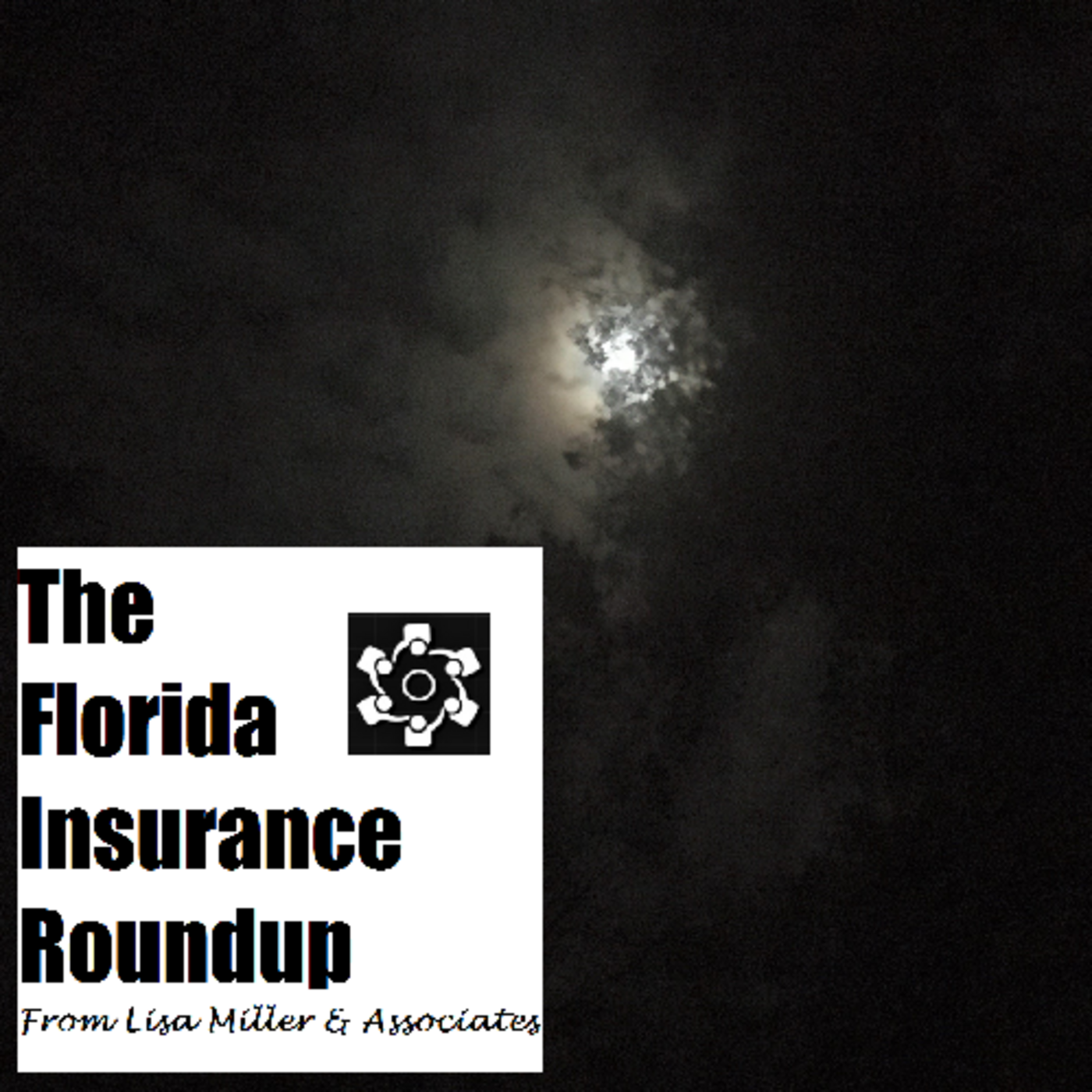 The Florida Insurance Roundup from Lisa Miller & Associates