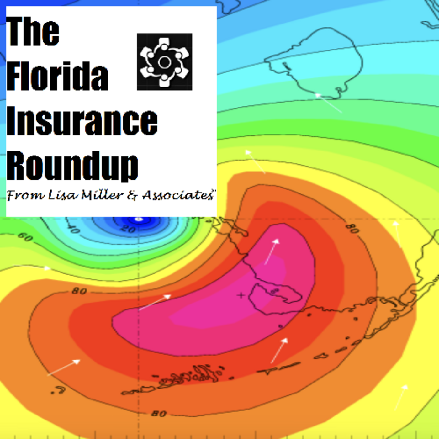 The Florida Insurance Roundup from Lisa Miller & Associates®