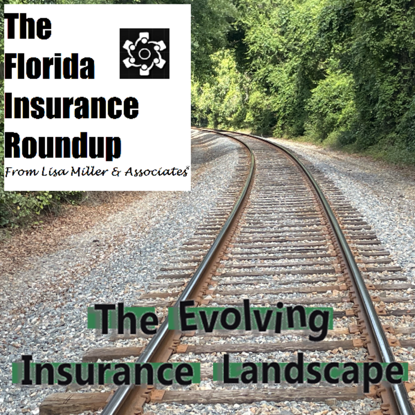 The Florida Insurance Roundup from Lisa Miller & Associates®
