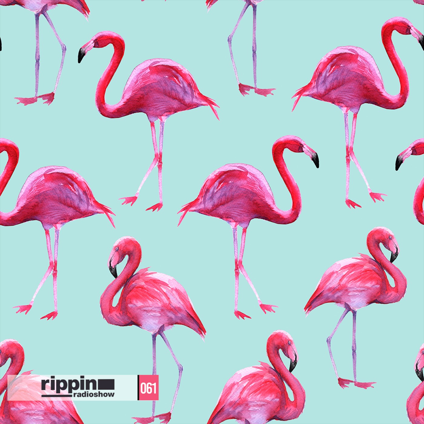 Rippin Radio 061